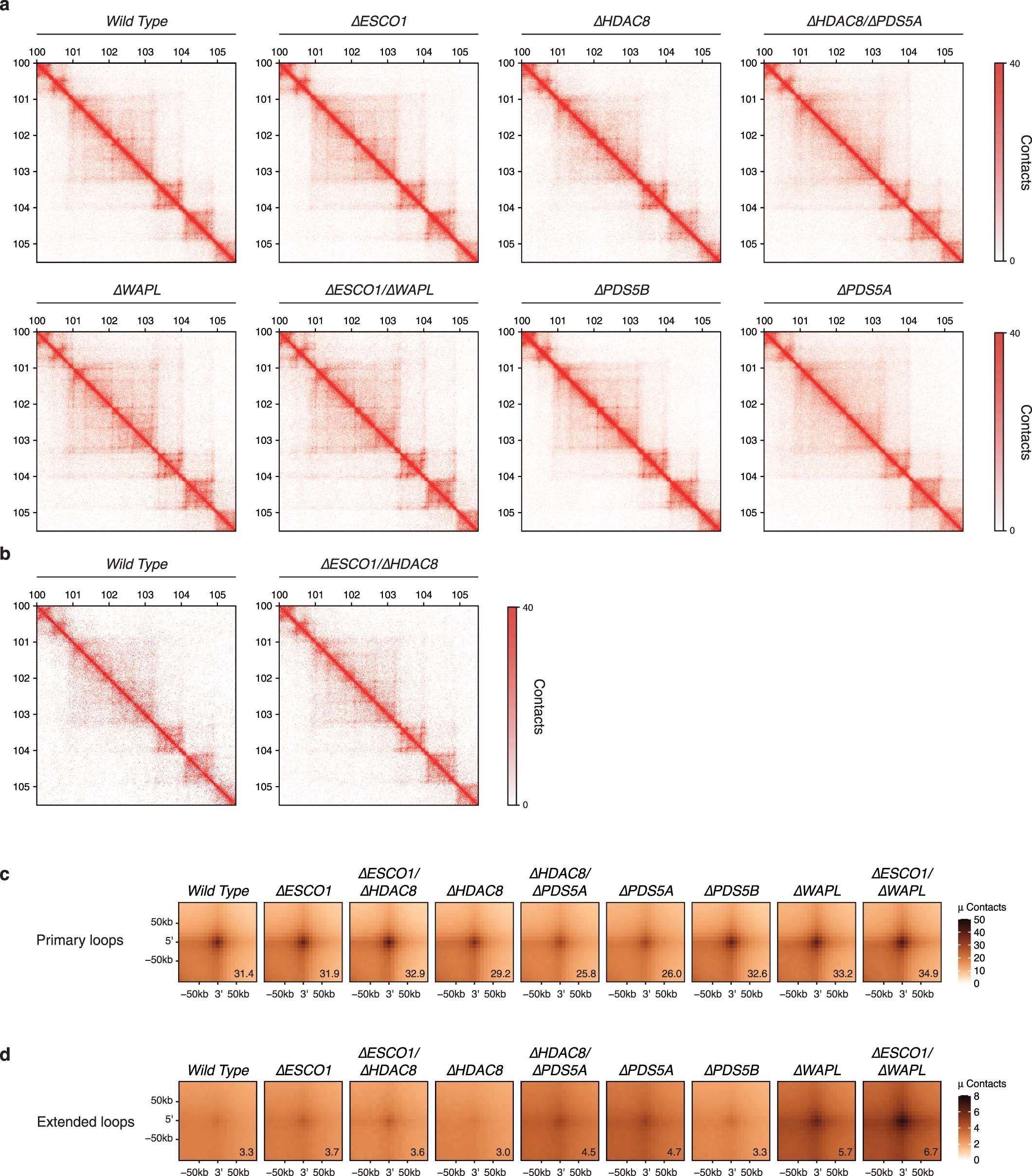 Extended Data Fig. 5
