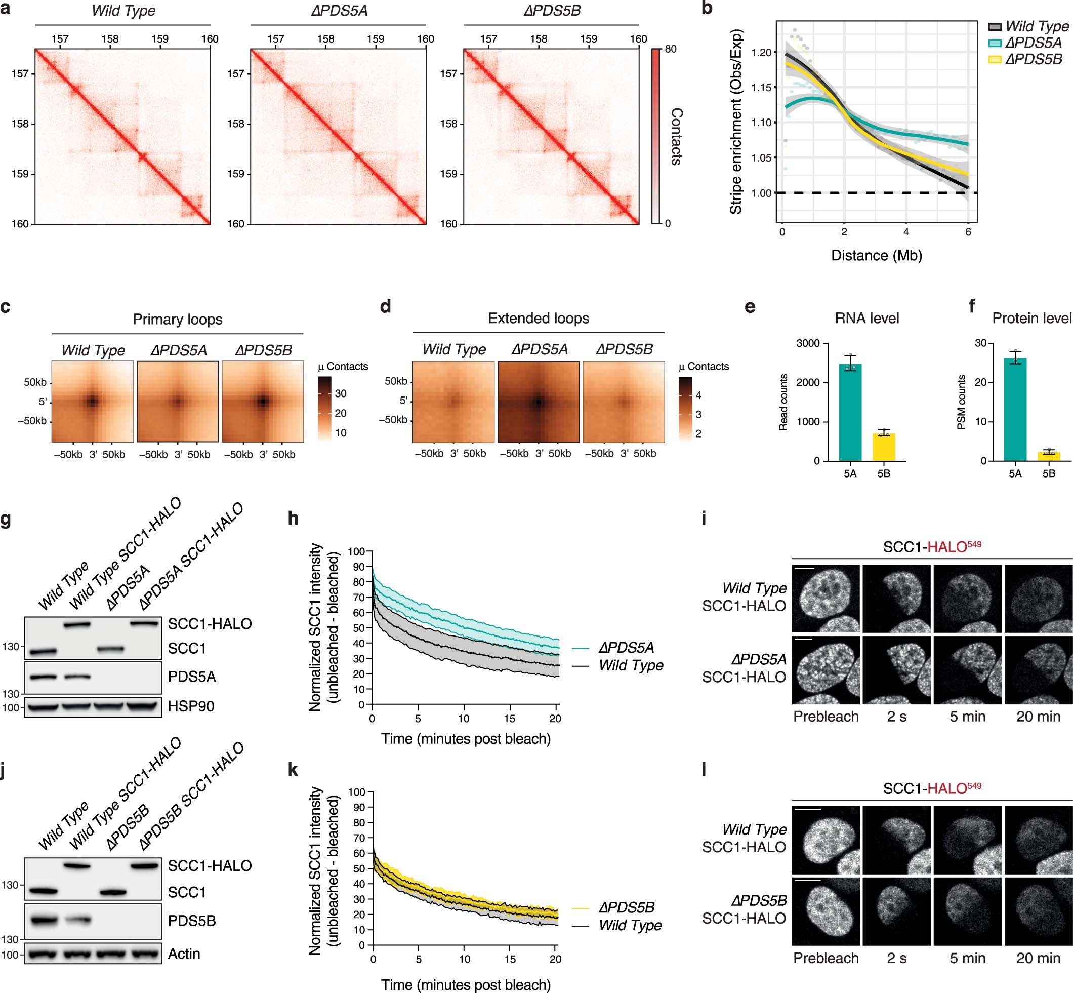 Extended Data Fig. 4