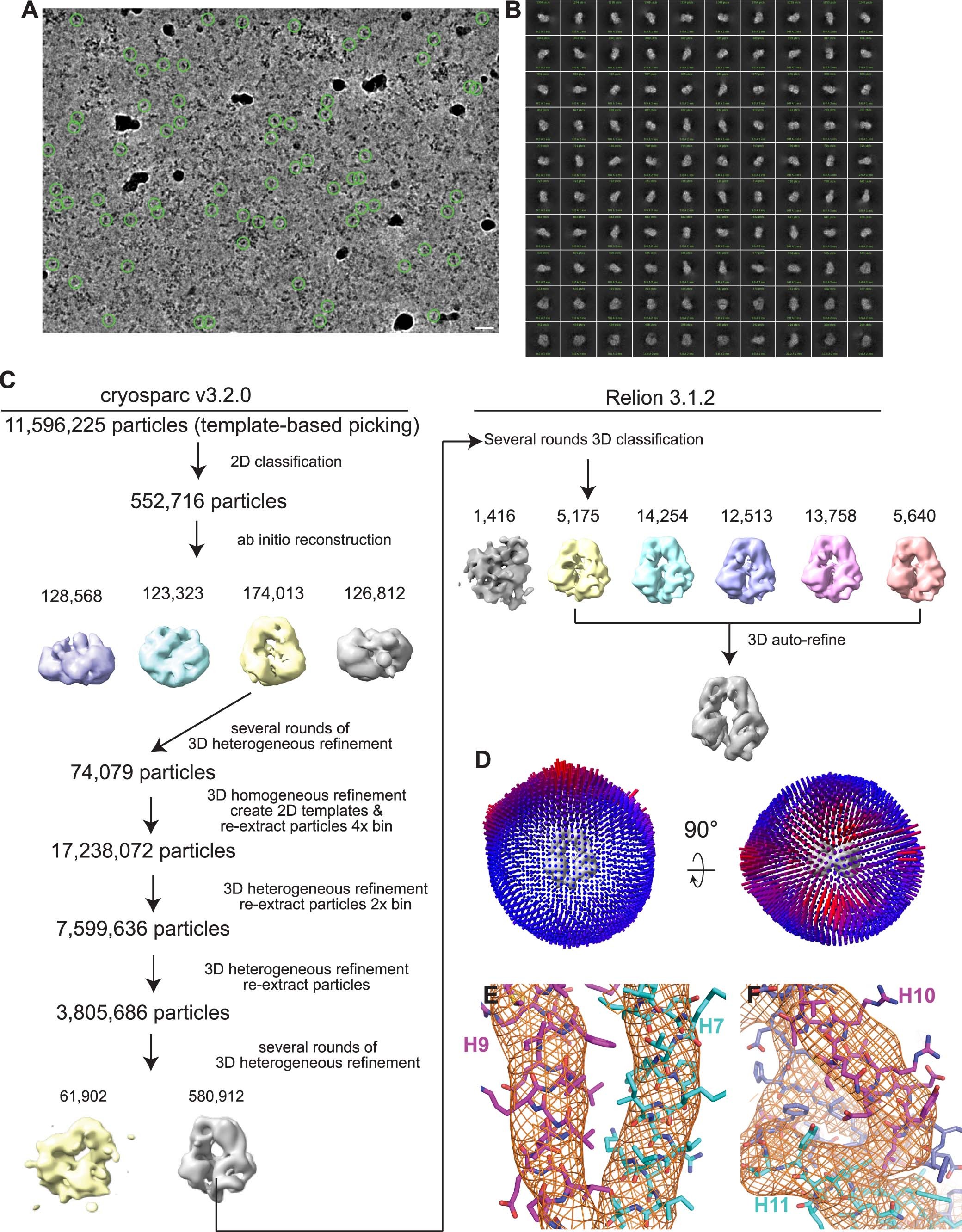 Extended Data Fig. 7