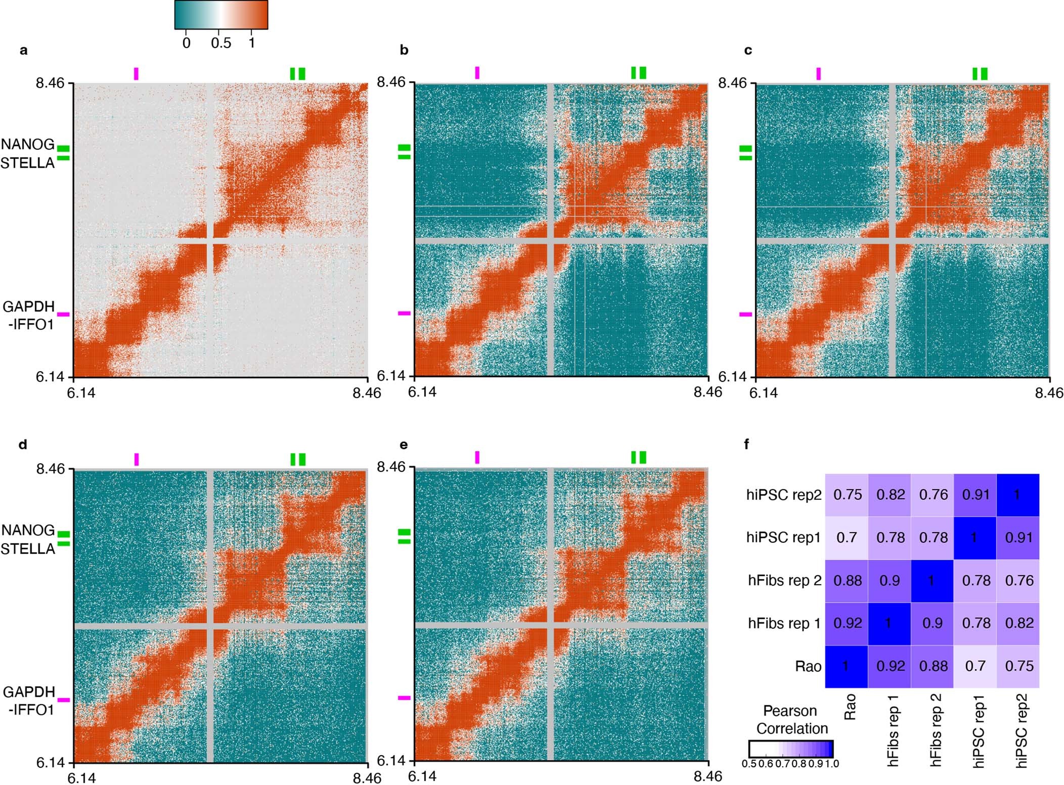Extended Data Fig. 3: Contact matrices and correlation analyses between capture Hi-C replicates in hFibs, hiPSCs and published datasets.