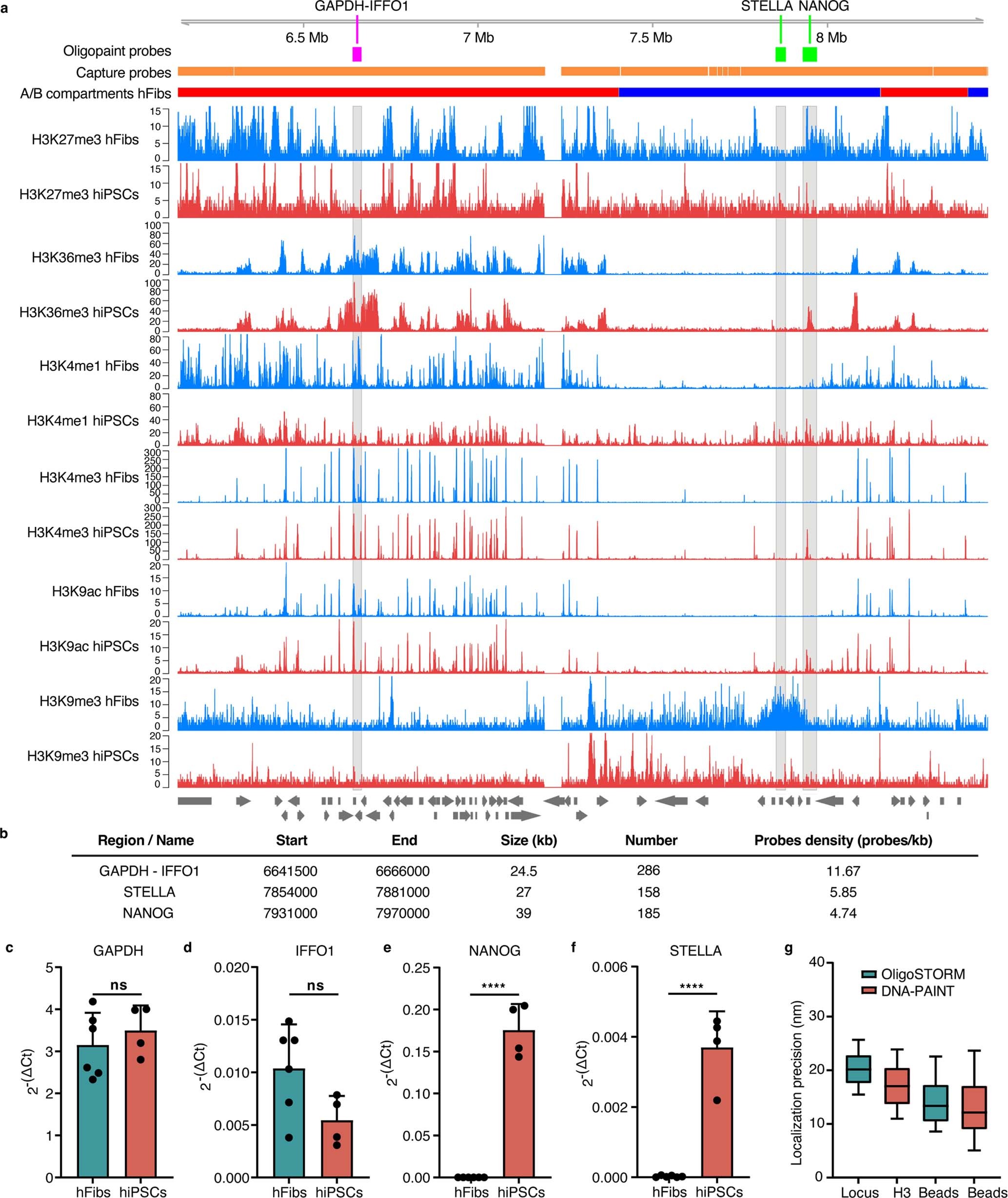 Extended Data Fig. 1: Schematic overview of human chromosome 12 region analyzed by MiOS.