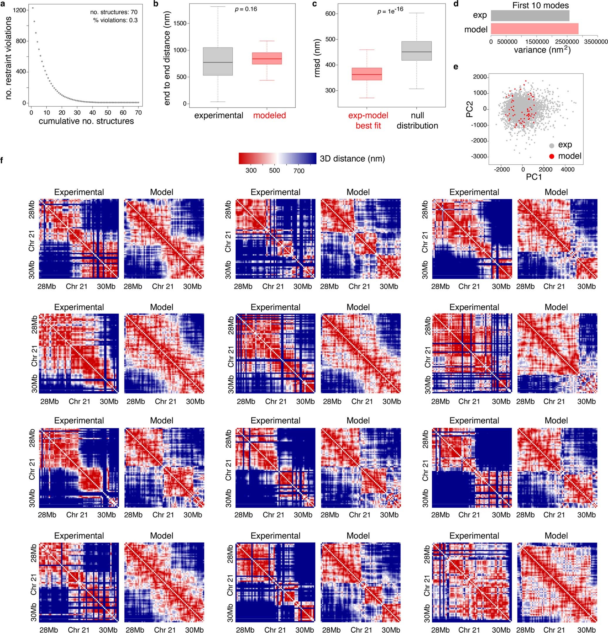 Extended Data Fig. 2: Restraint-based model reproduces cell-to-cell structural variability.