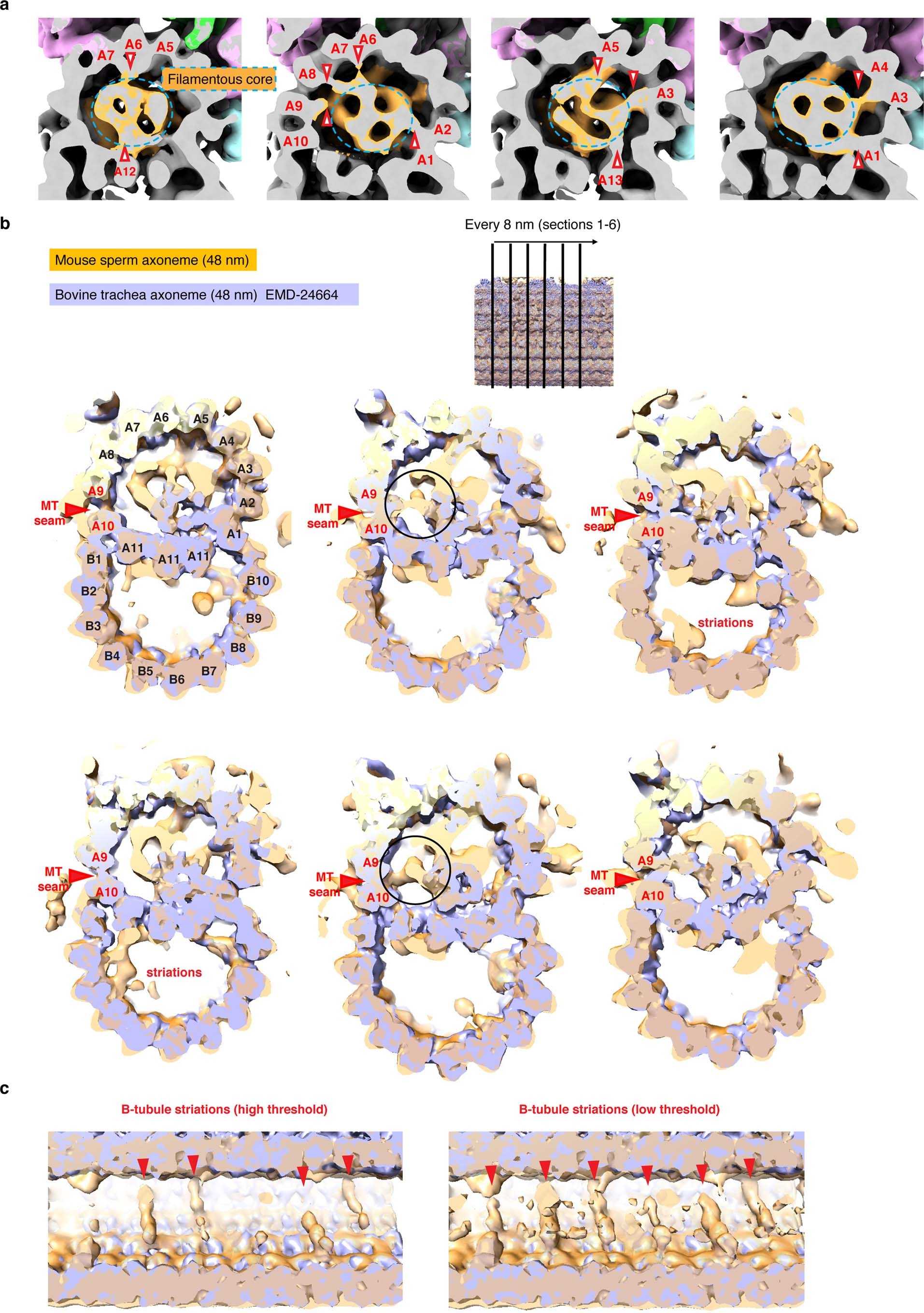 Extended Data Fig. 3