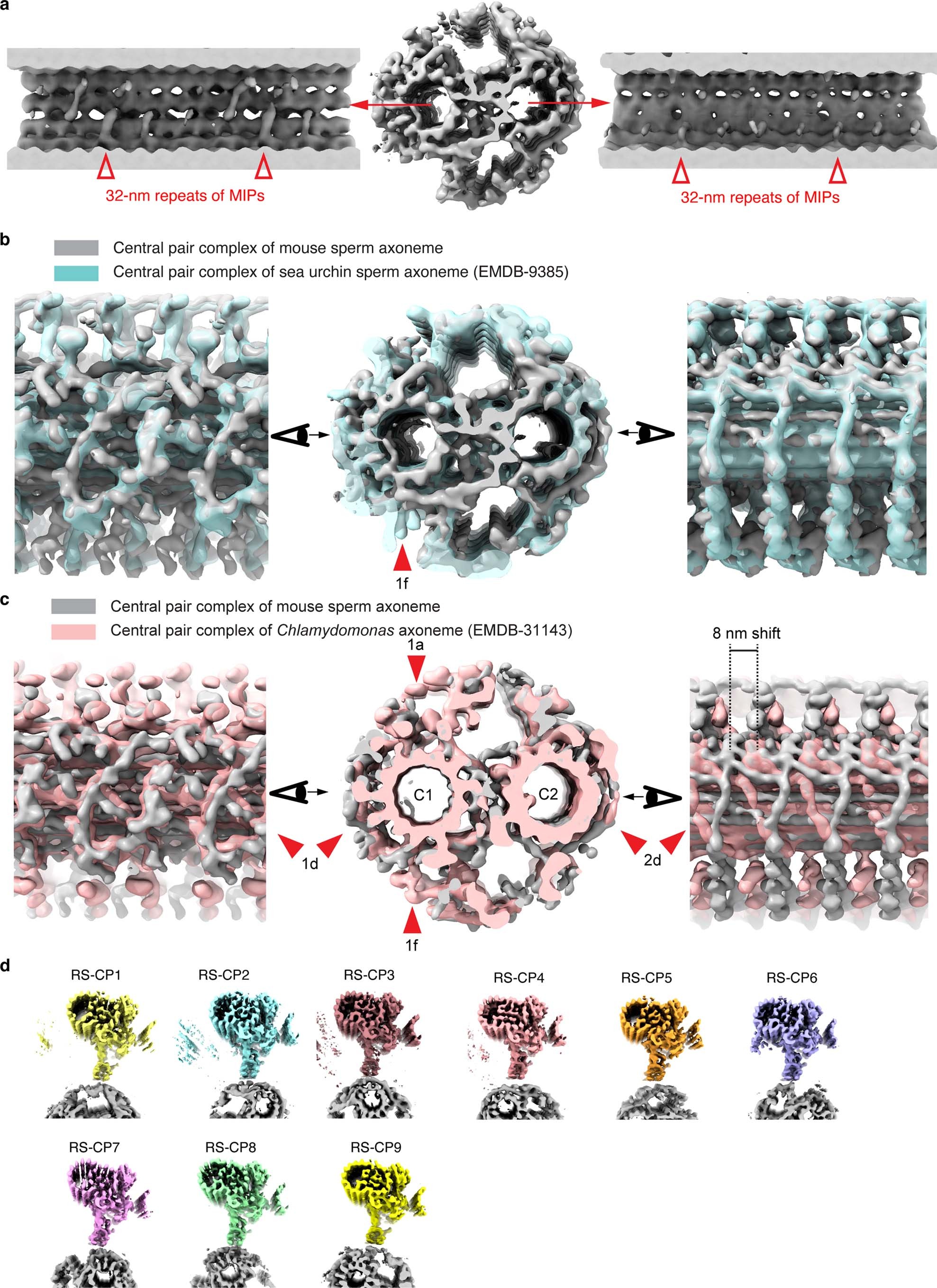 Extended Data Fig. 5