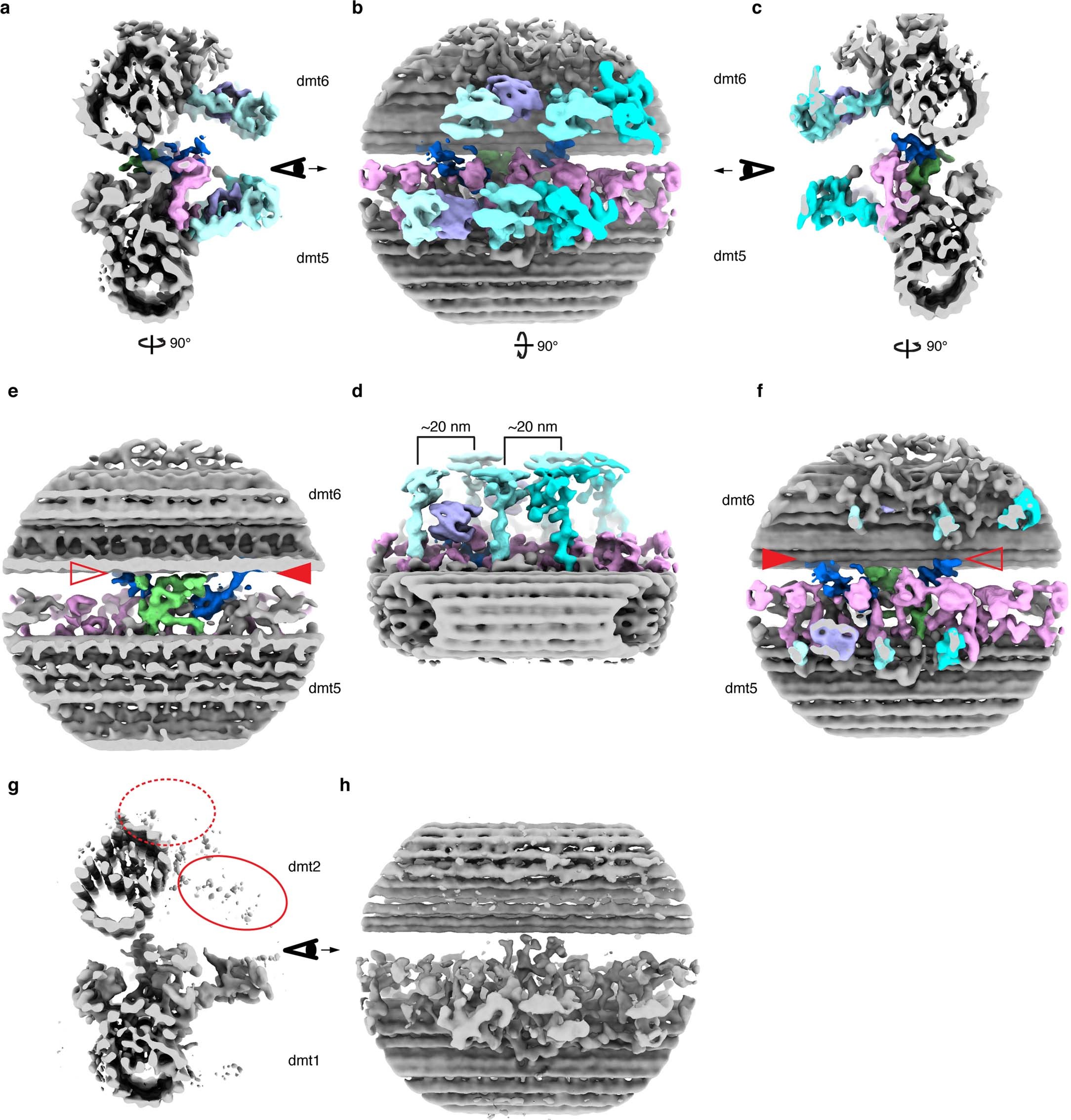 Extended Data Fig. 6