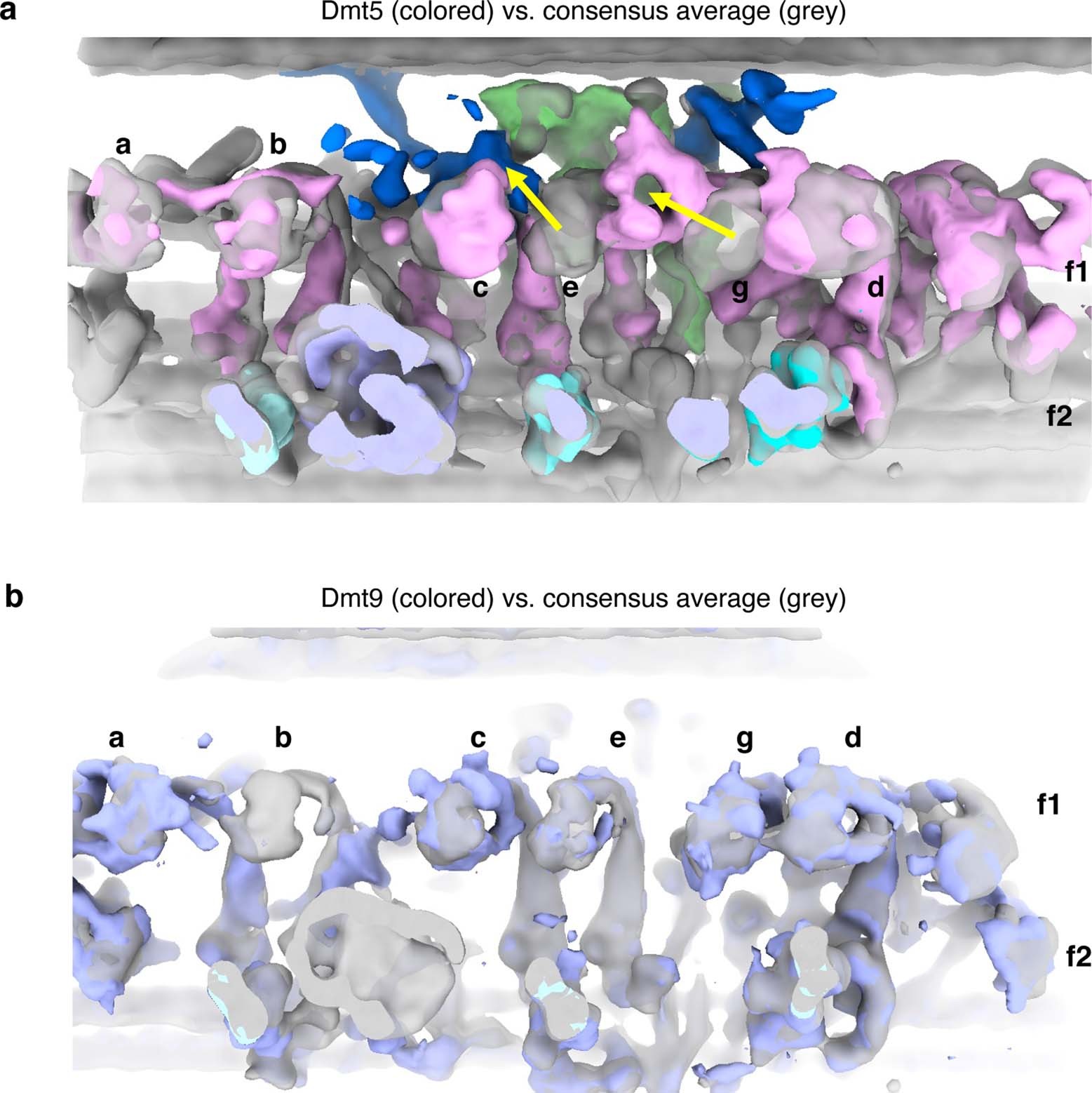 Extended Data Fig. 7