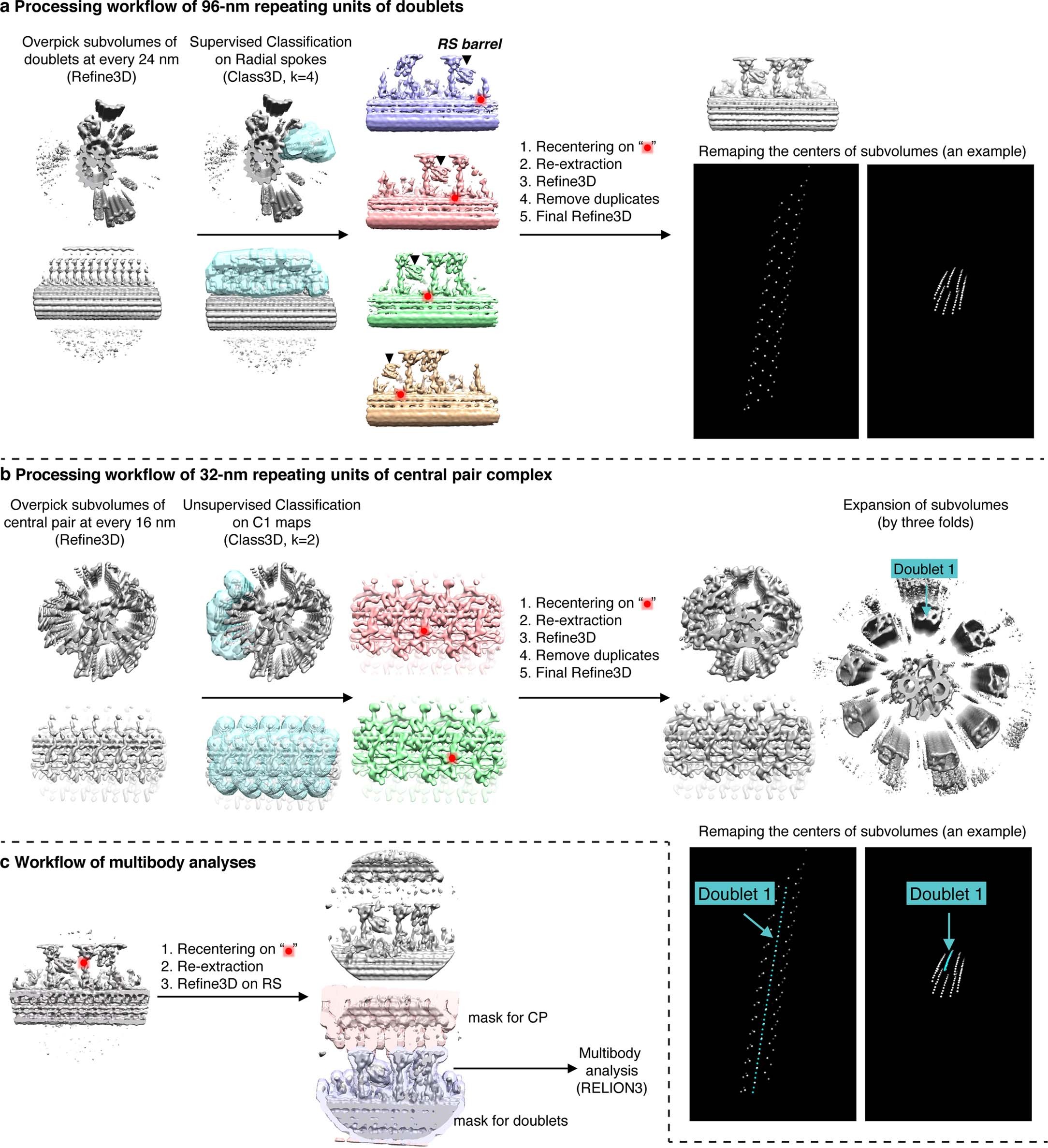 Extended Data Fig. 2