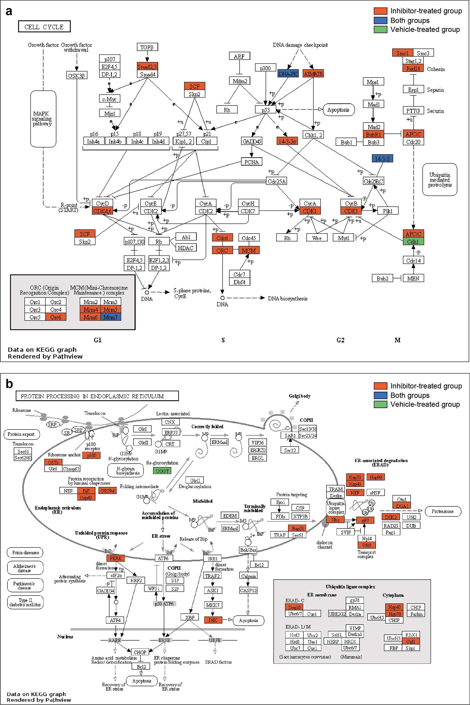 Extended Data Fig. 5