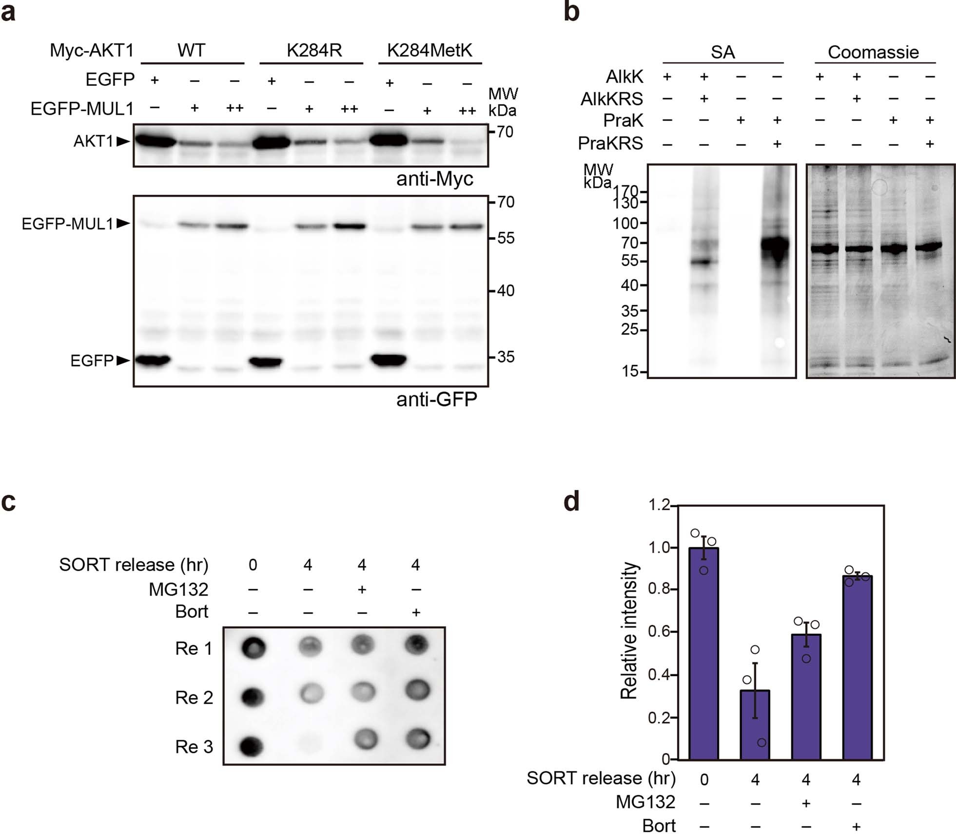 Extended Data Fig. 7
