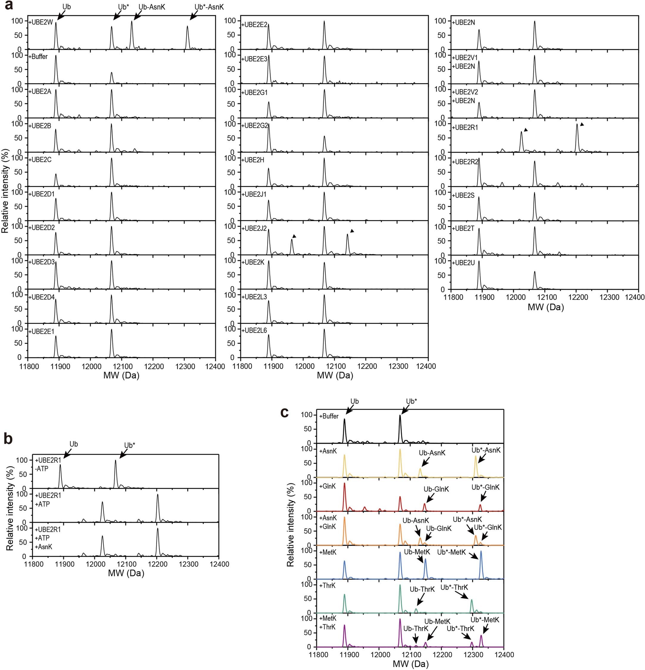 Extended Data Fig. 9