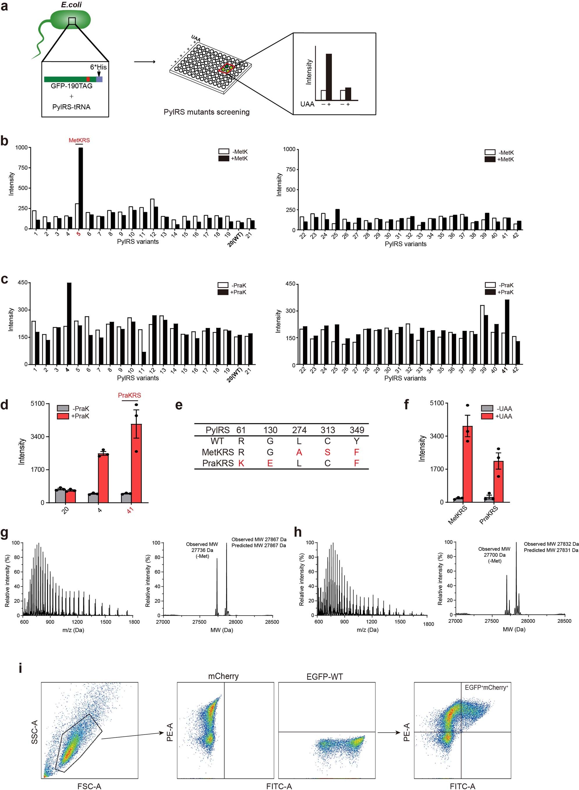Extended Data Fig. 2