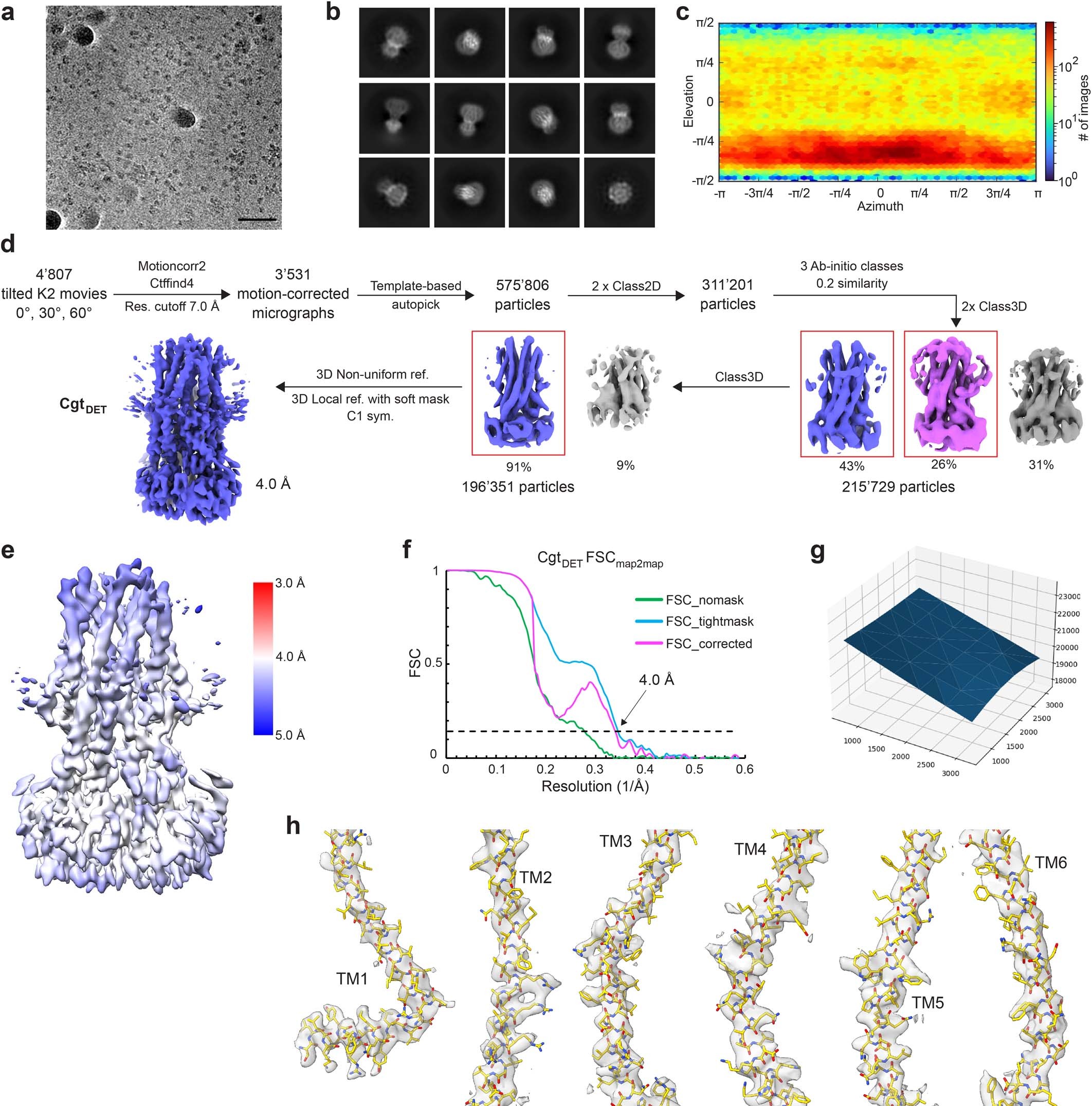Extended Data Fig. 6