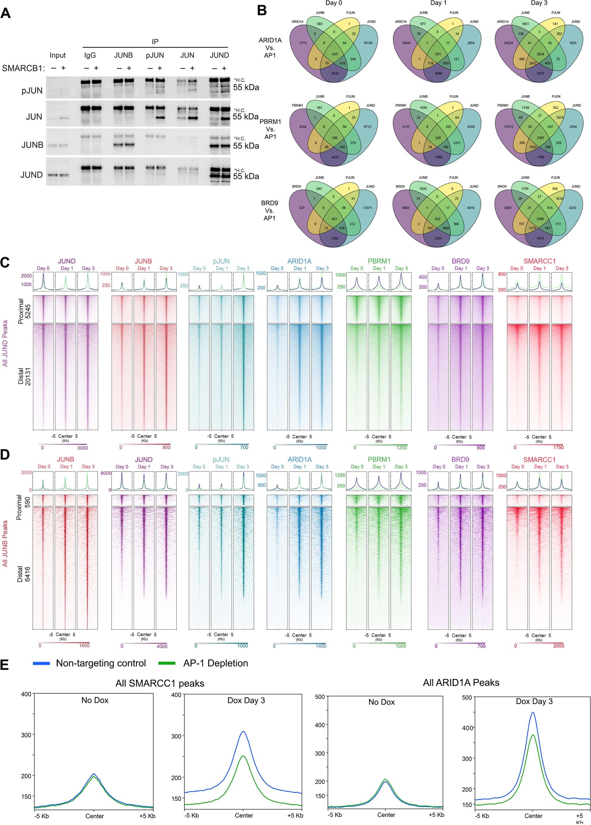 Extended Data Fig. 5