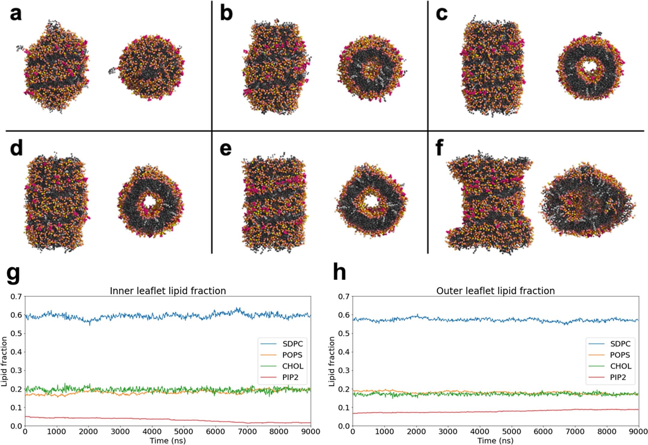 Extended Data Fig. 1