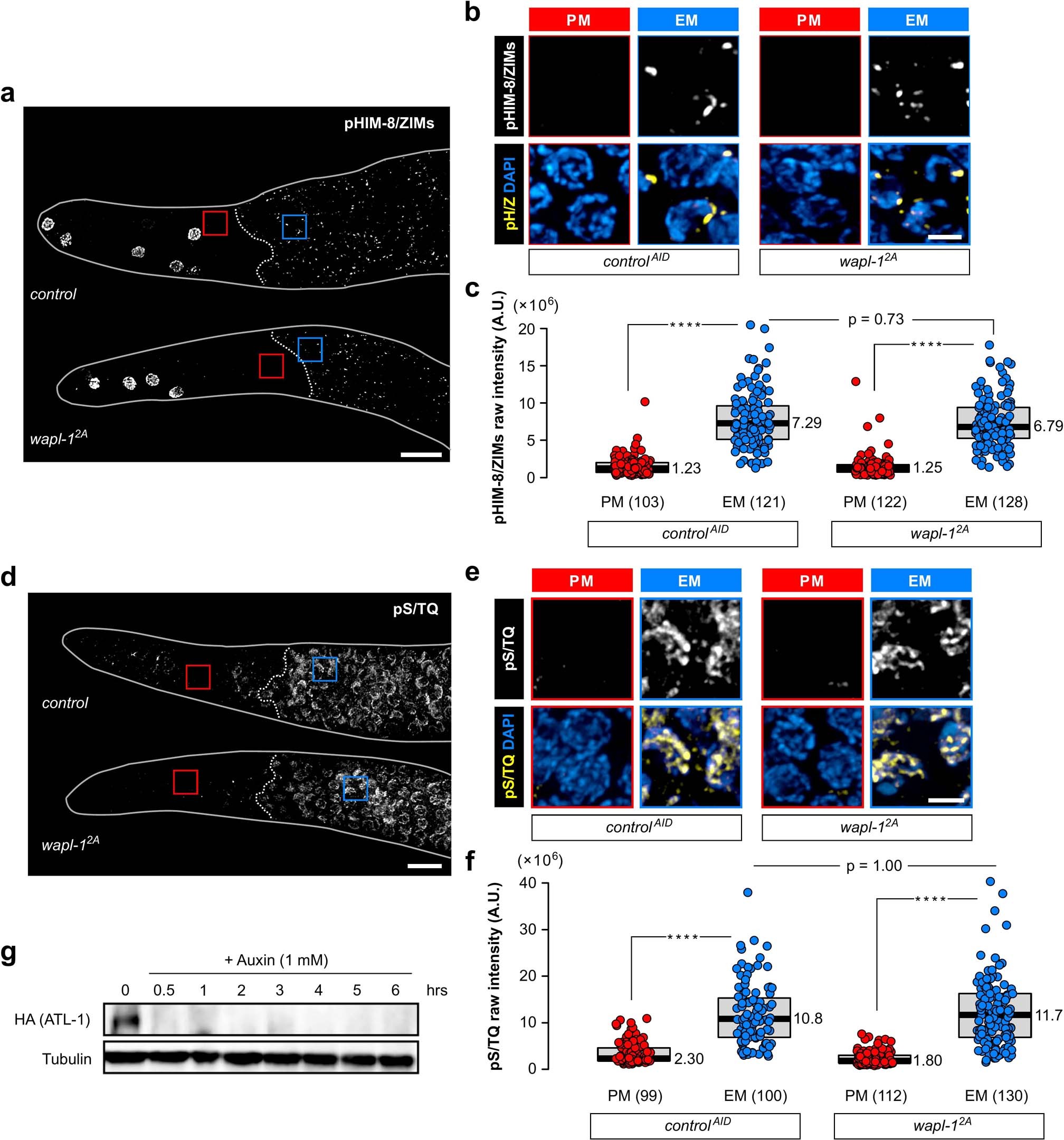 Extended Data Fig. 2