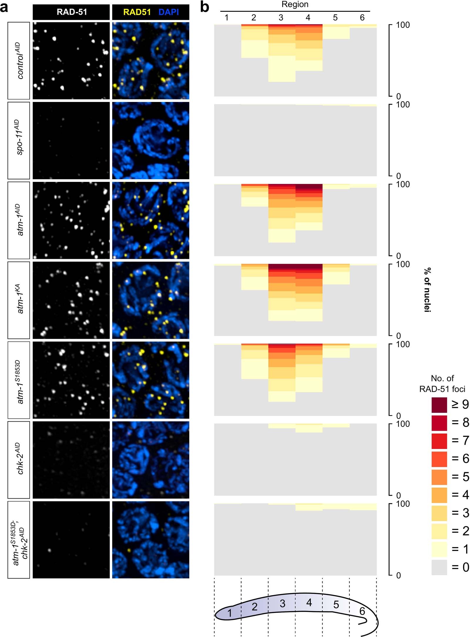 Extended Data Fig. 4
