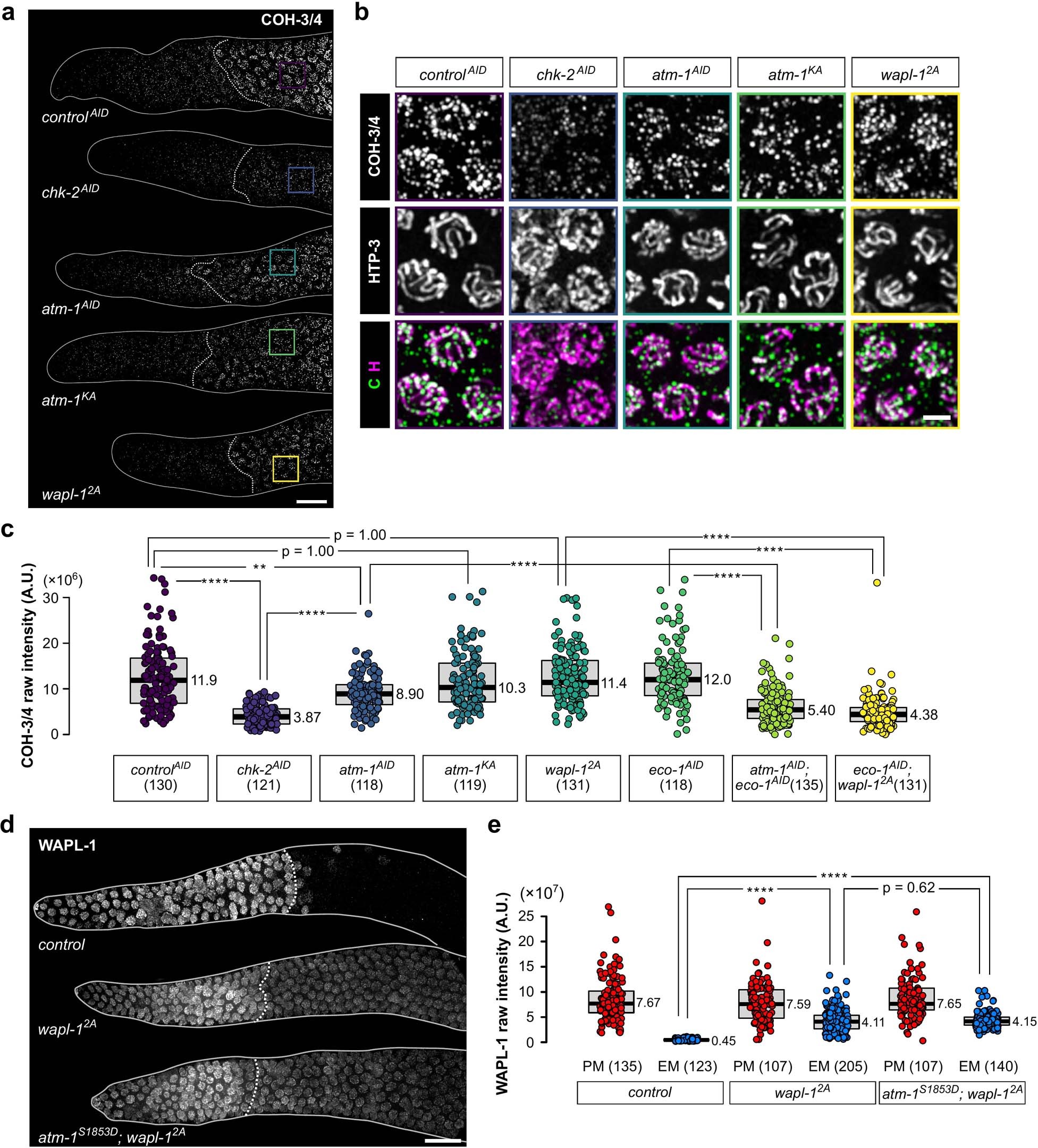 Extended Data Fig. 5