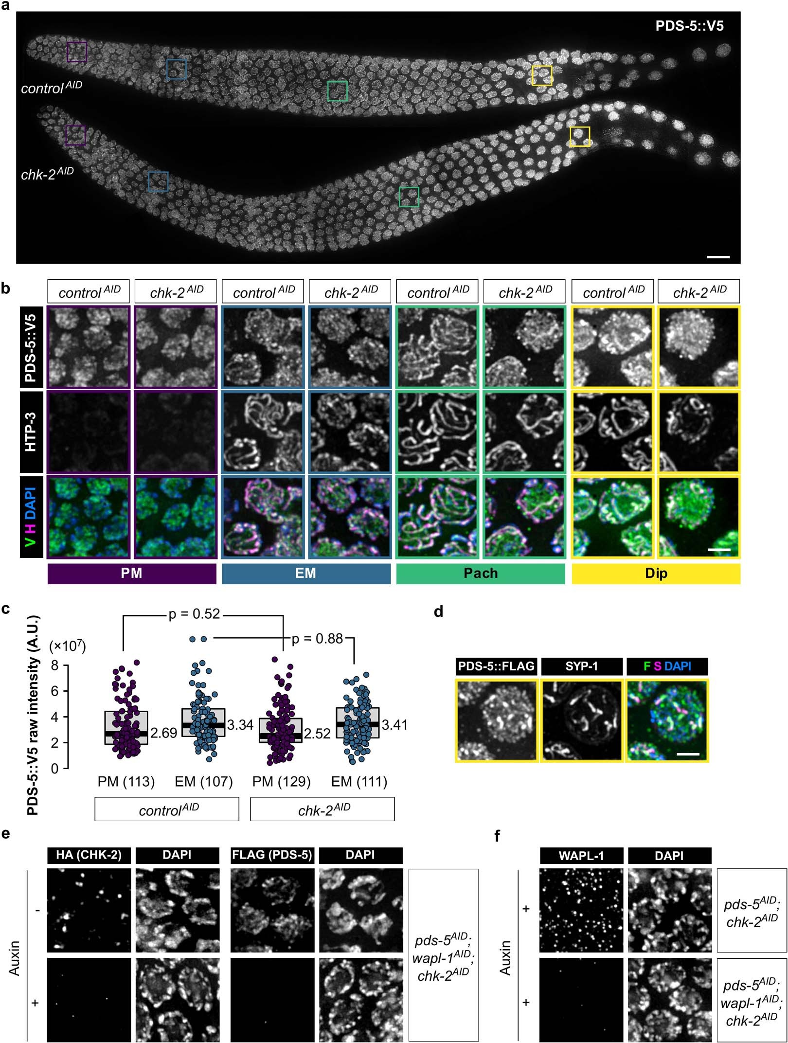 Extended Data Fig. 6