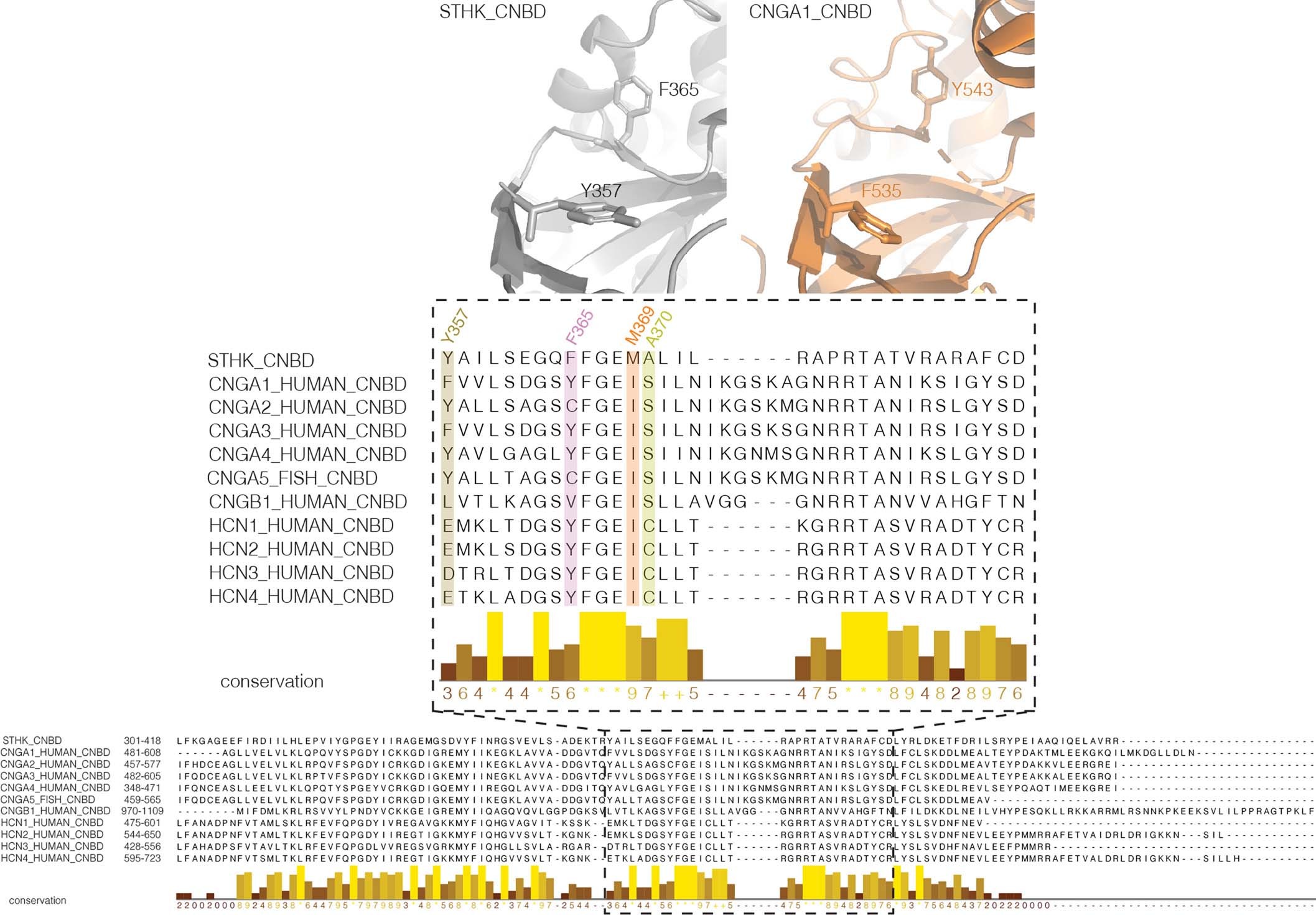 Extended Data Fig. 6