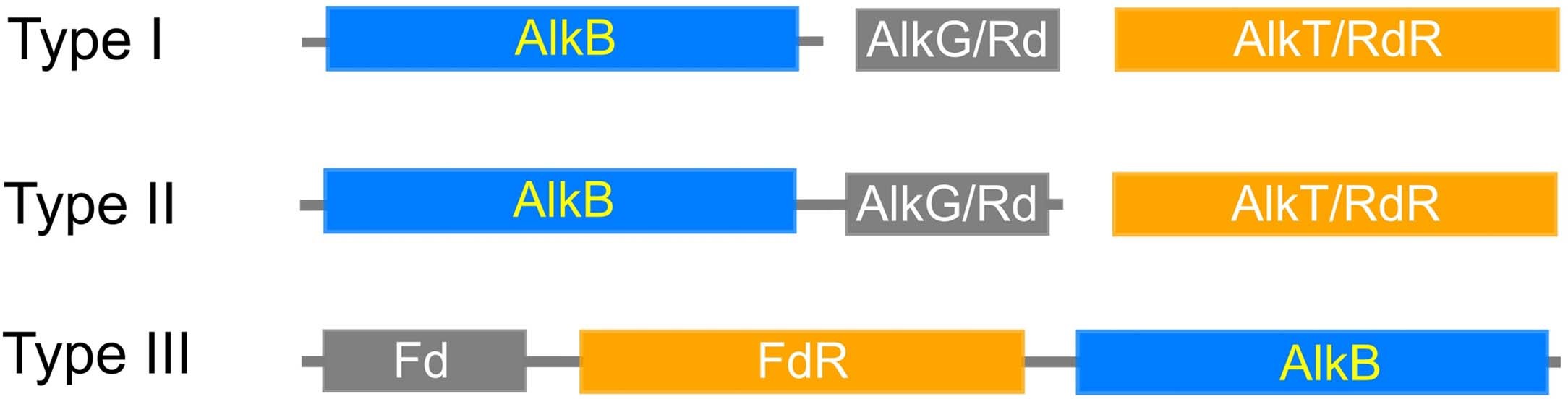 Extended Data Fig. 1