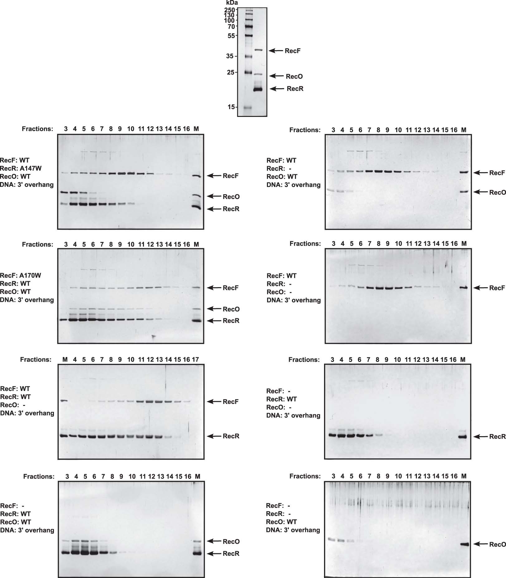 Extended Data Fig. 10