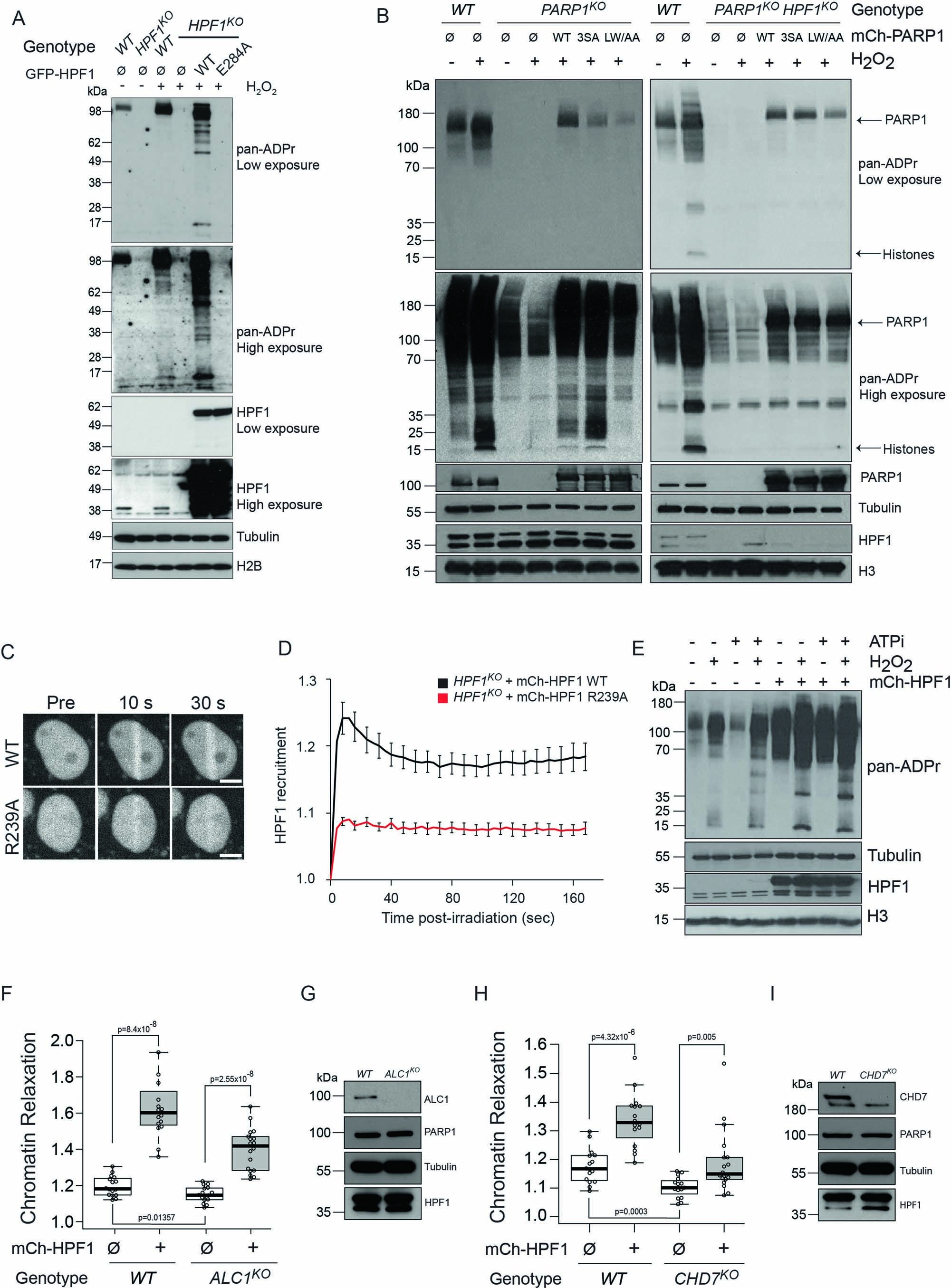 Extended Data Fig. 5