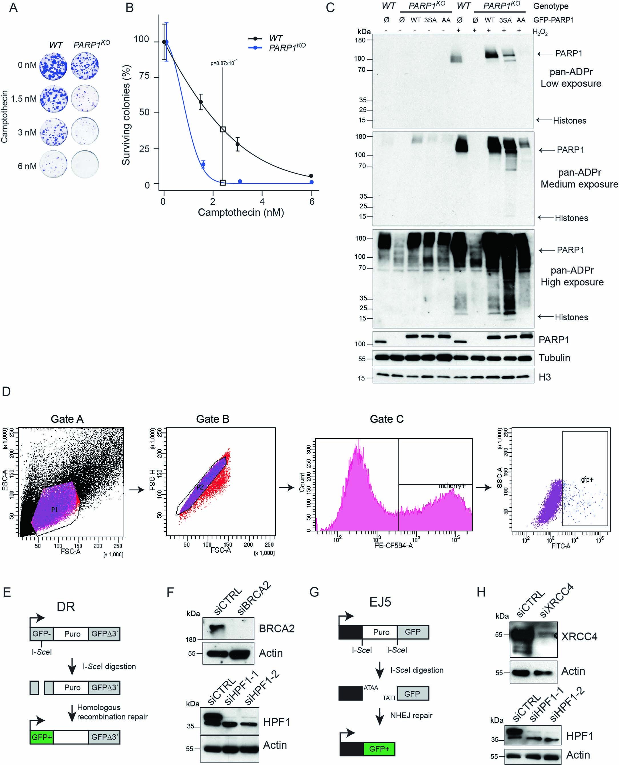 Extended Data Fig. 8
