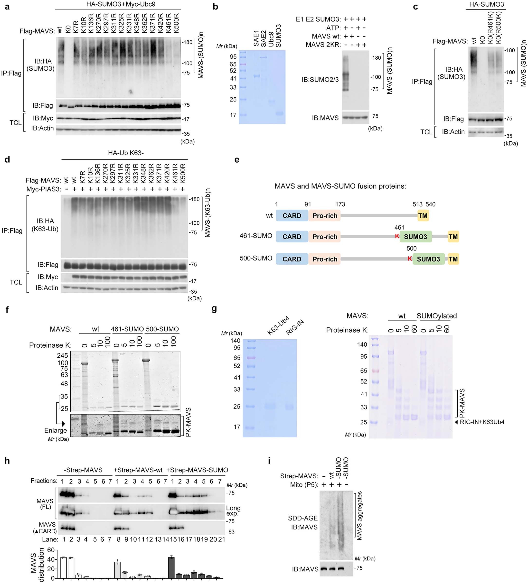 Extended Data Fig. 5