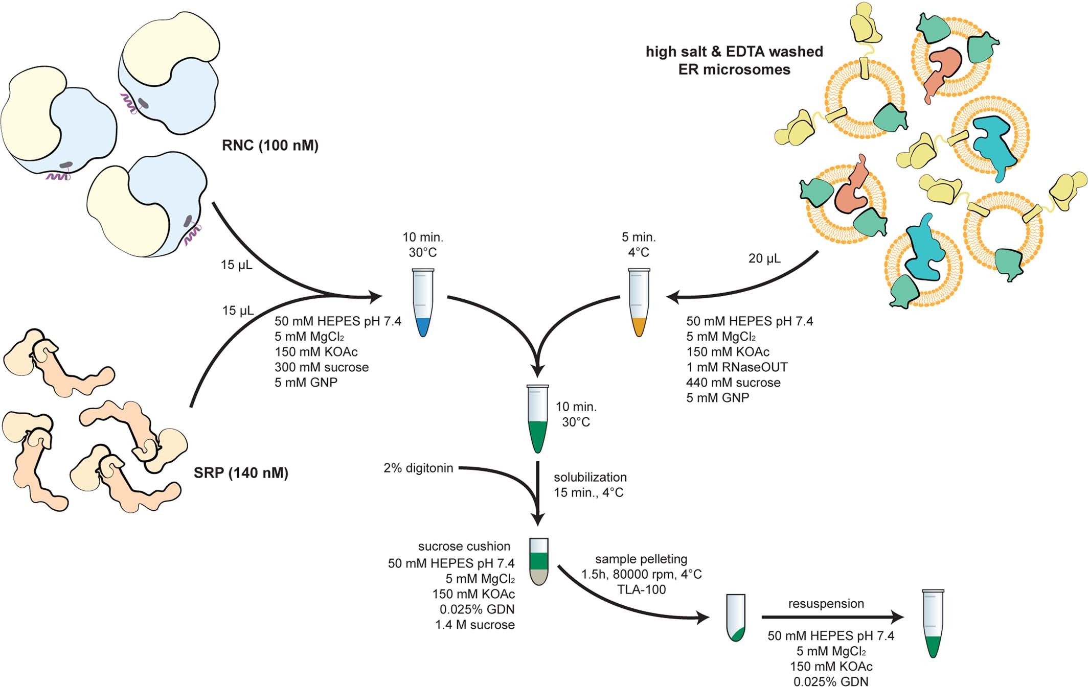 Extended Data Fig. 1