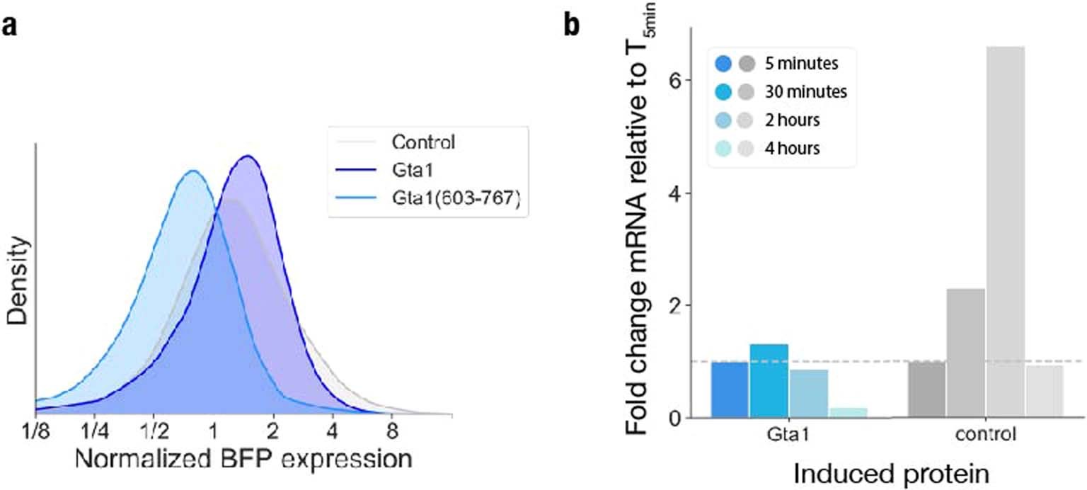 Extended Data Fig. 5: The tethering screen identifies RNA-regulatory roles of poorly-characterized proteins.