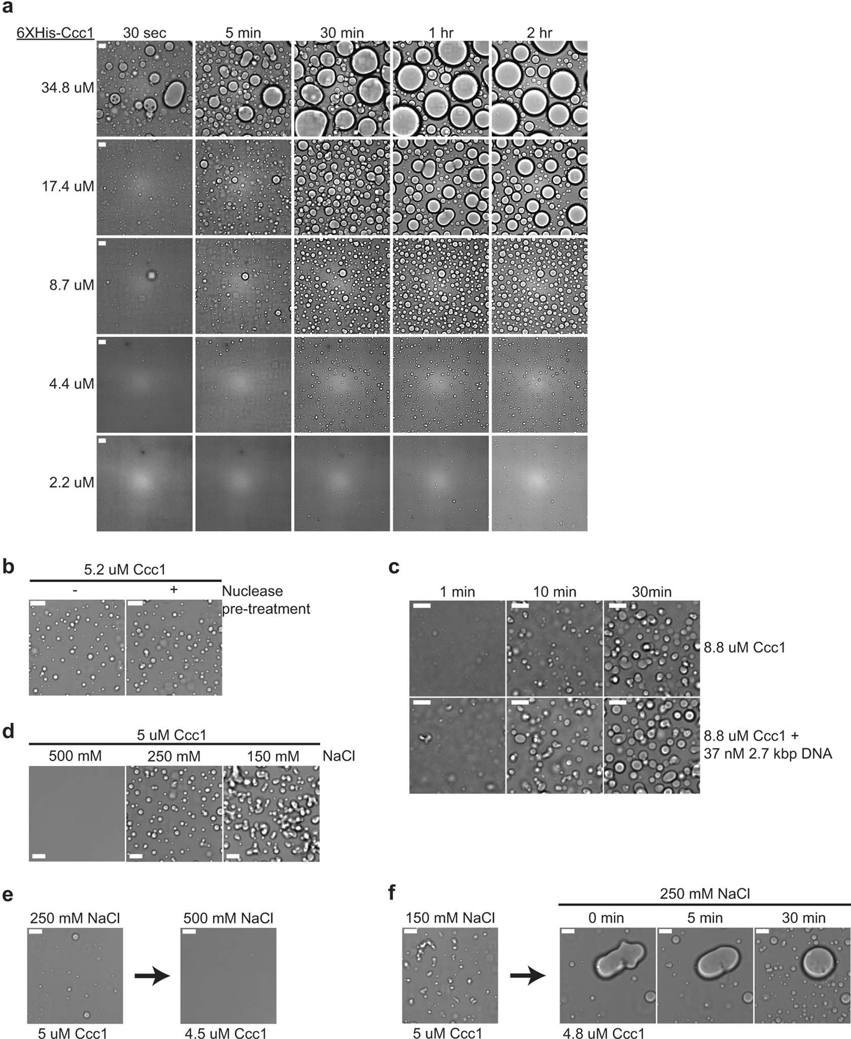Extended Data Fig. 3