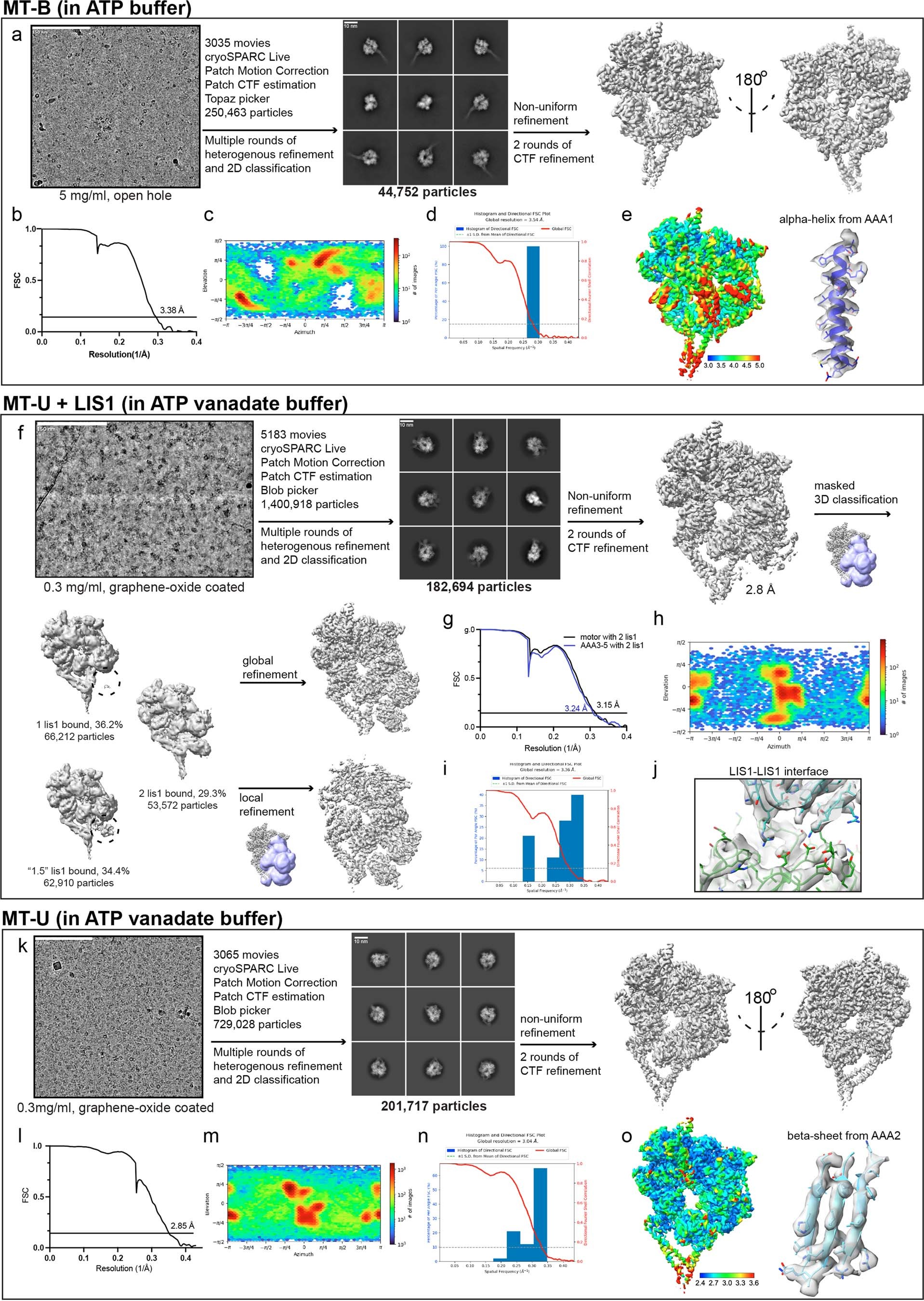 Extended Data Fig. 4: Cryo-EM data processing flowchart.