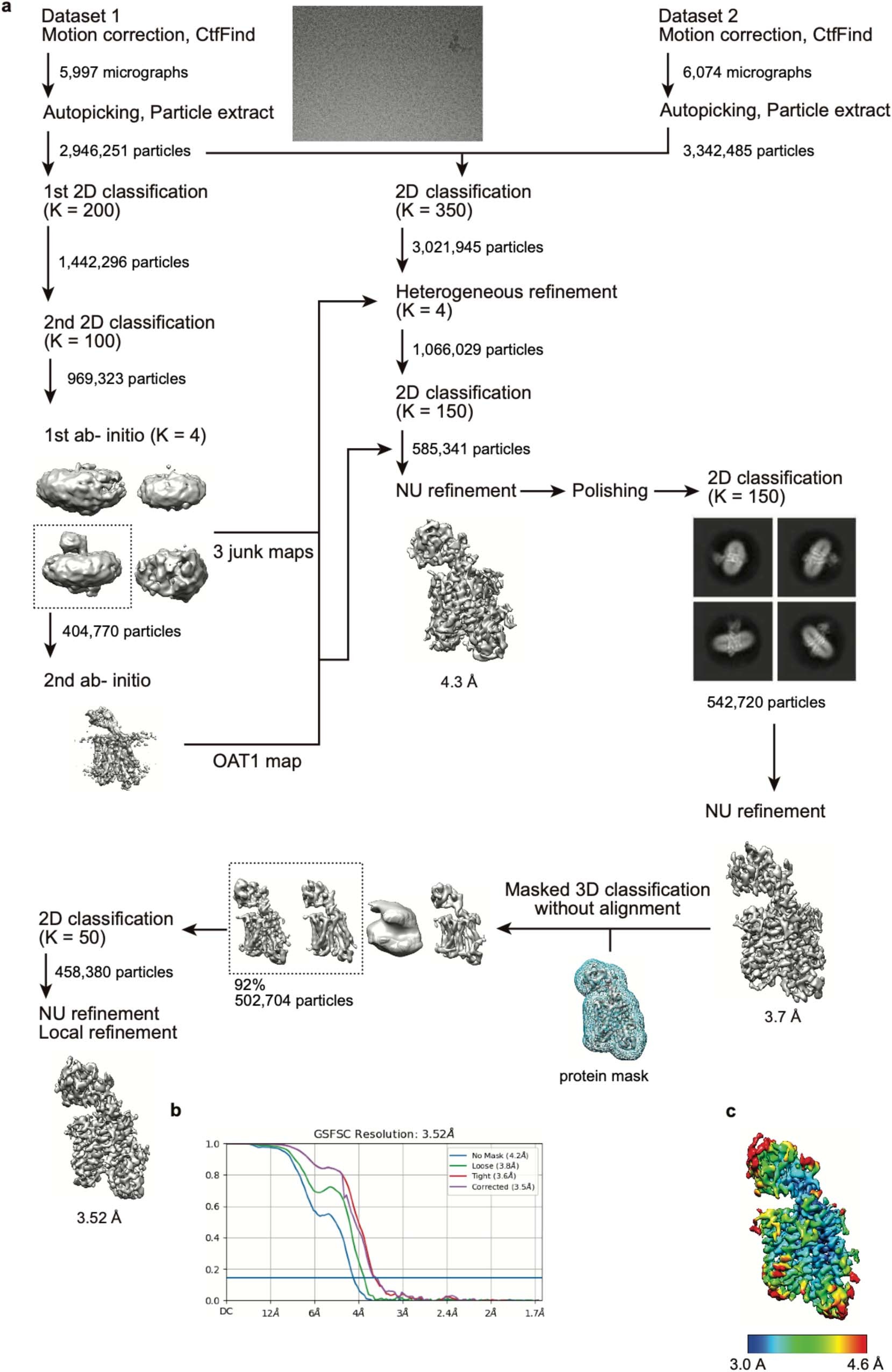 Extended Data Fig. 8