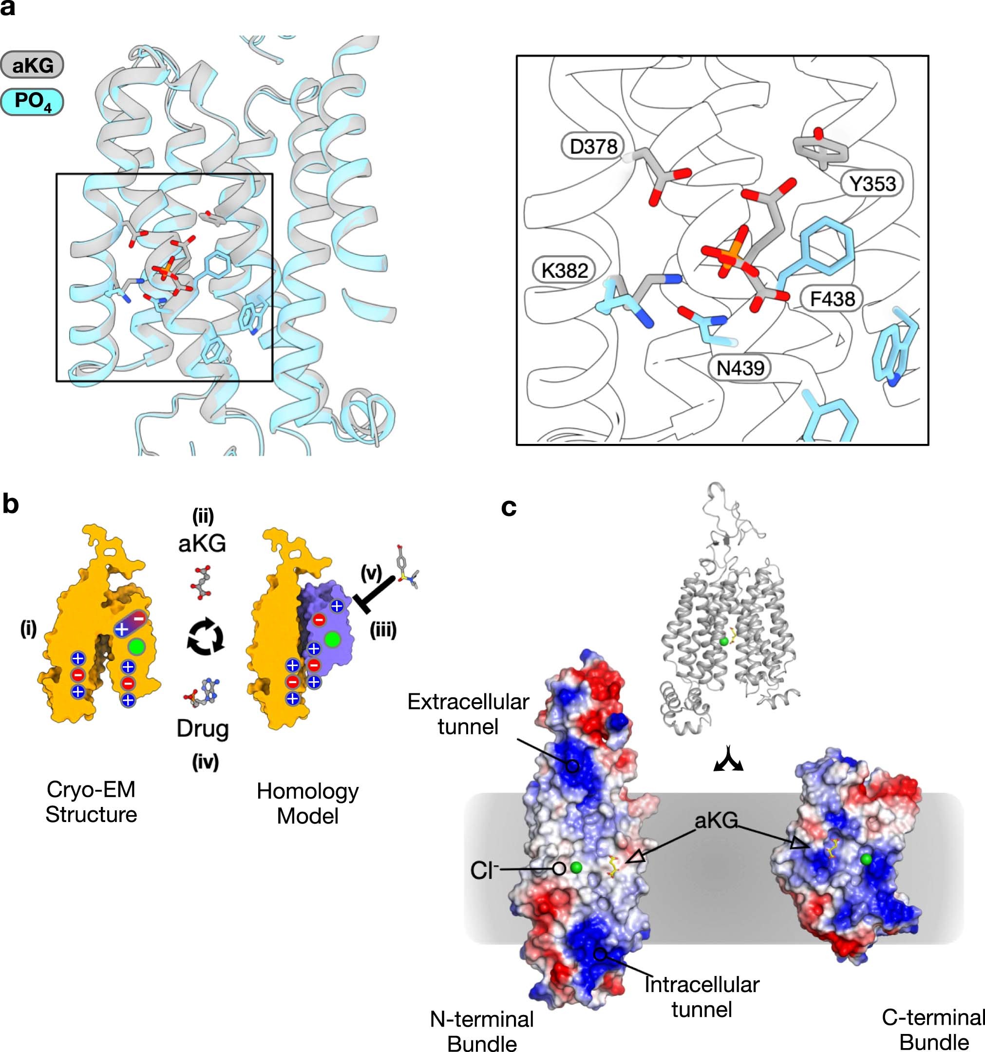 Extended Data Fig. 9