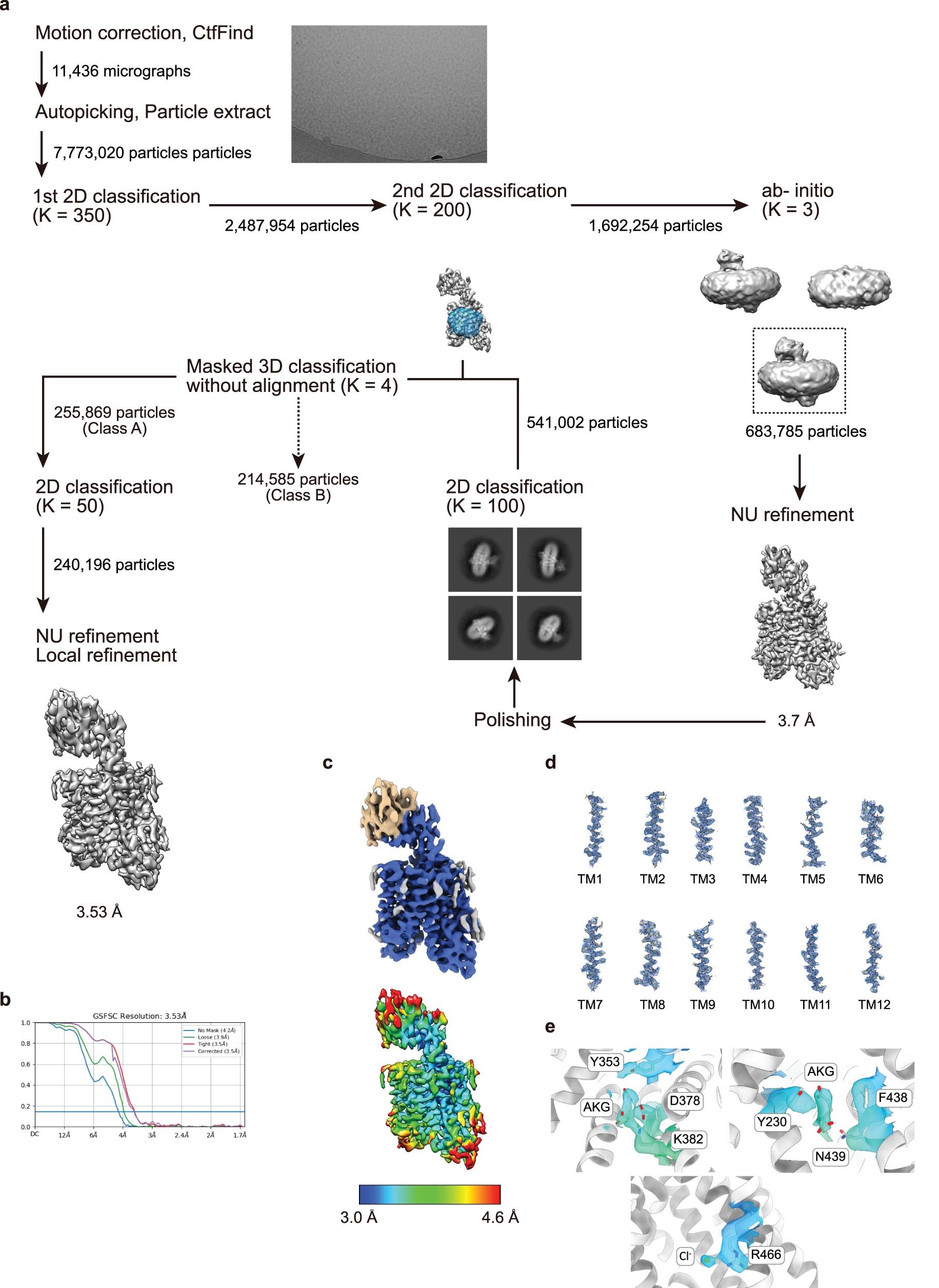 Extended Data Fig. 1