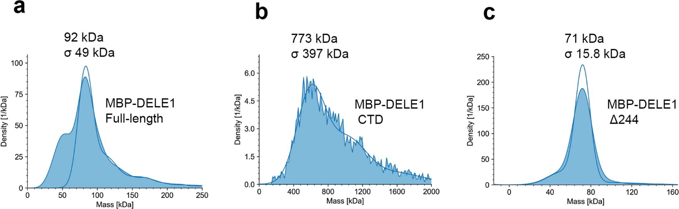 Extended Data Fig. 1: Mass photometry of recombinant MBP-DELE1 proteins.