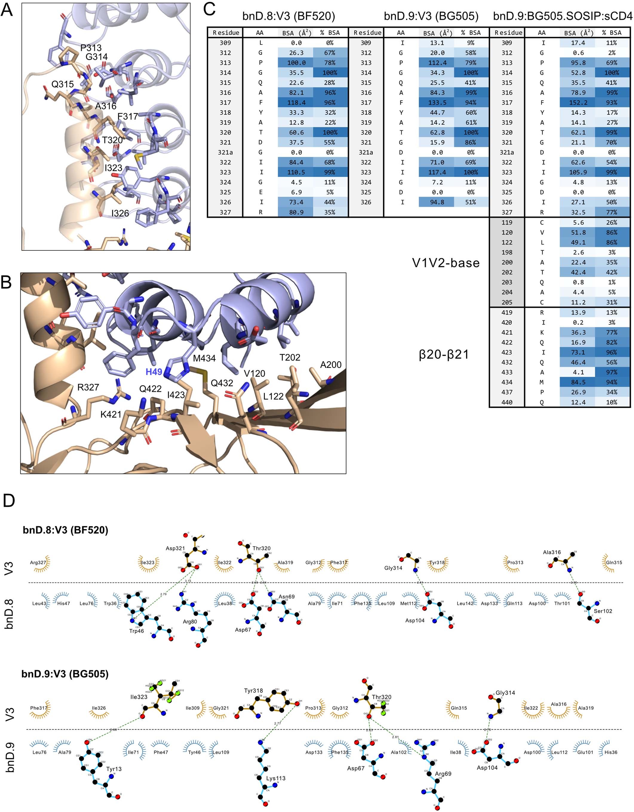 Extended Data Fig. 4: Interface of bnDs and Env.