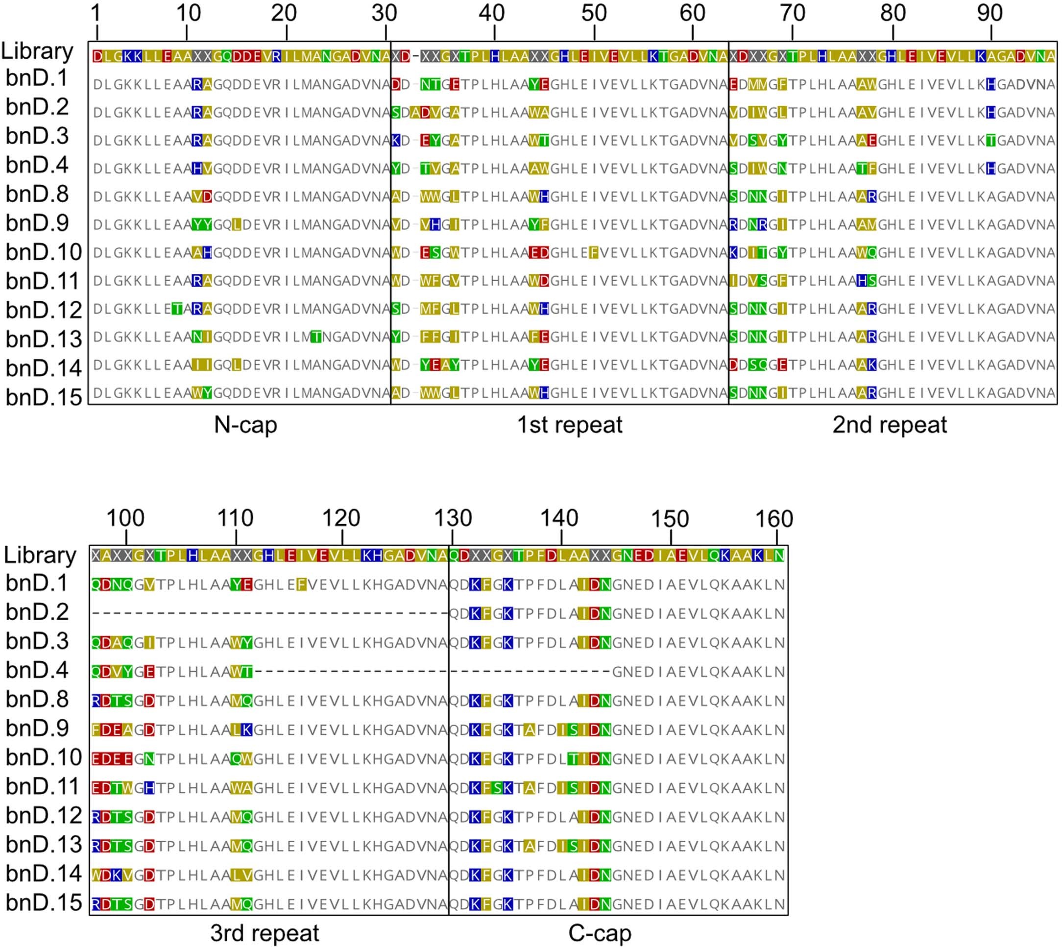 Extended Data Fig. 2: Alignment of V3 dependent bnDs.