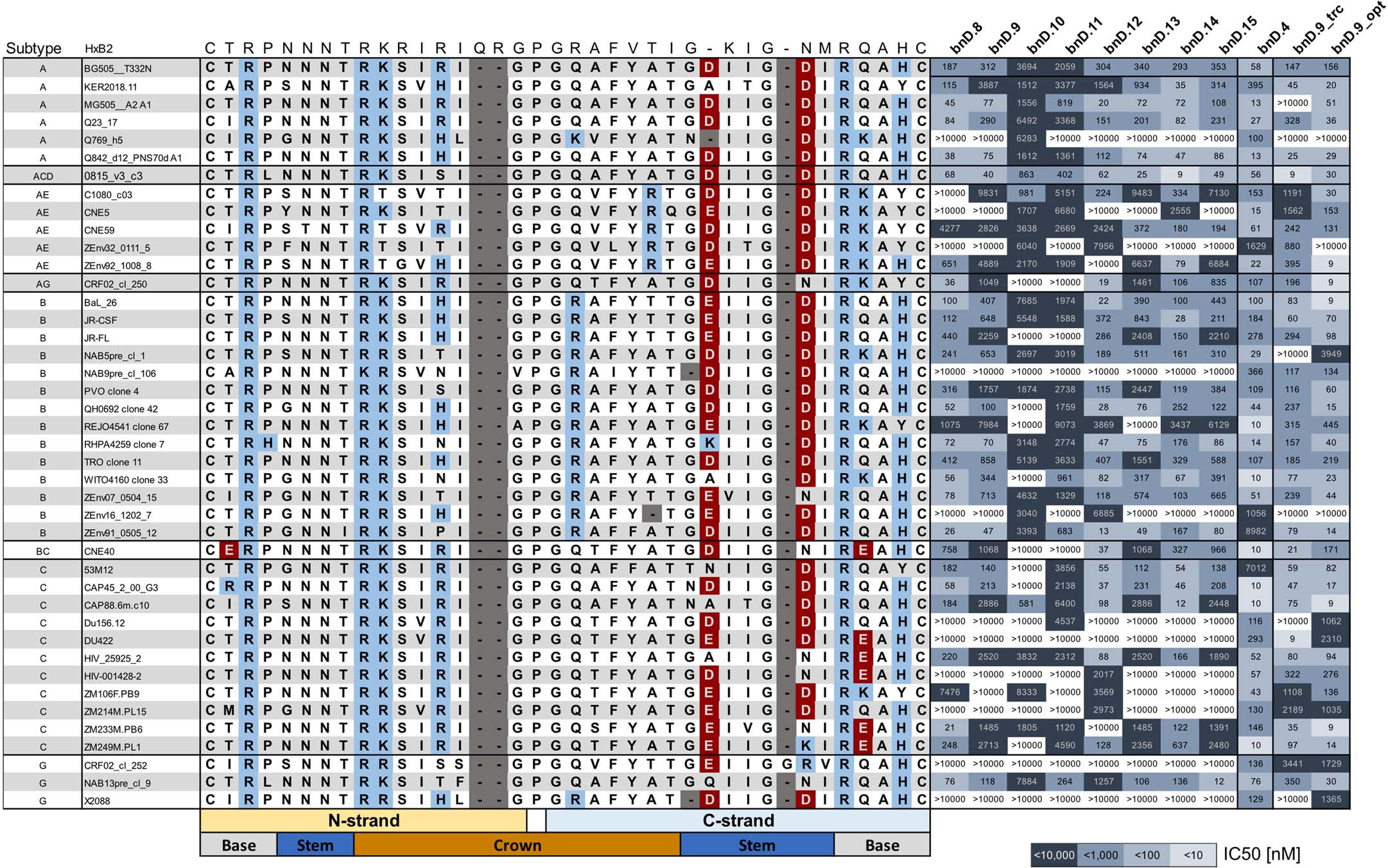 Extended Data Fig. 3: Alignment of V3 sequence in comparison to bnD IC50s.