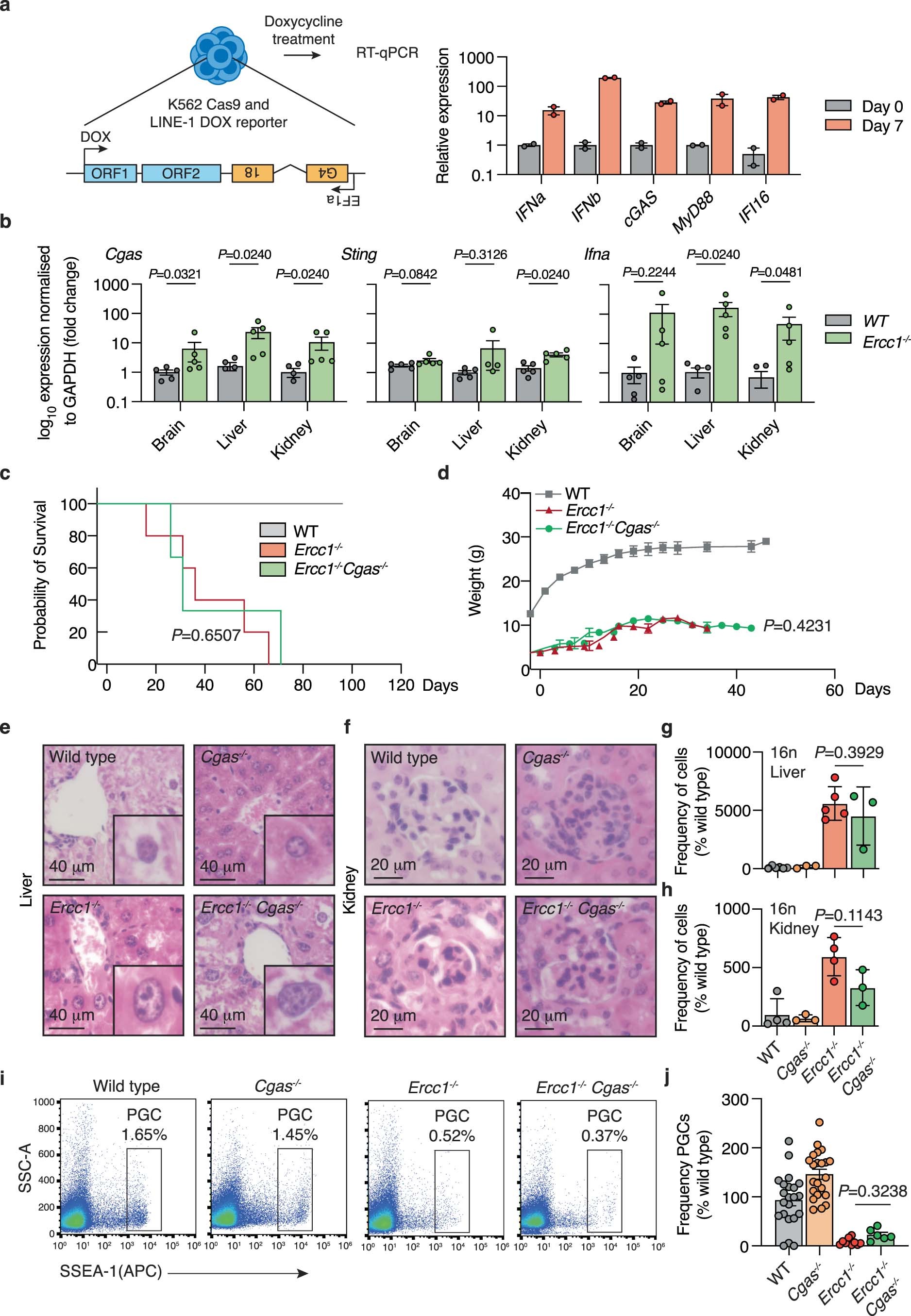Extended Data Fig. 6