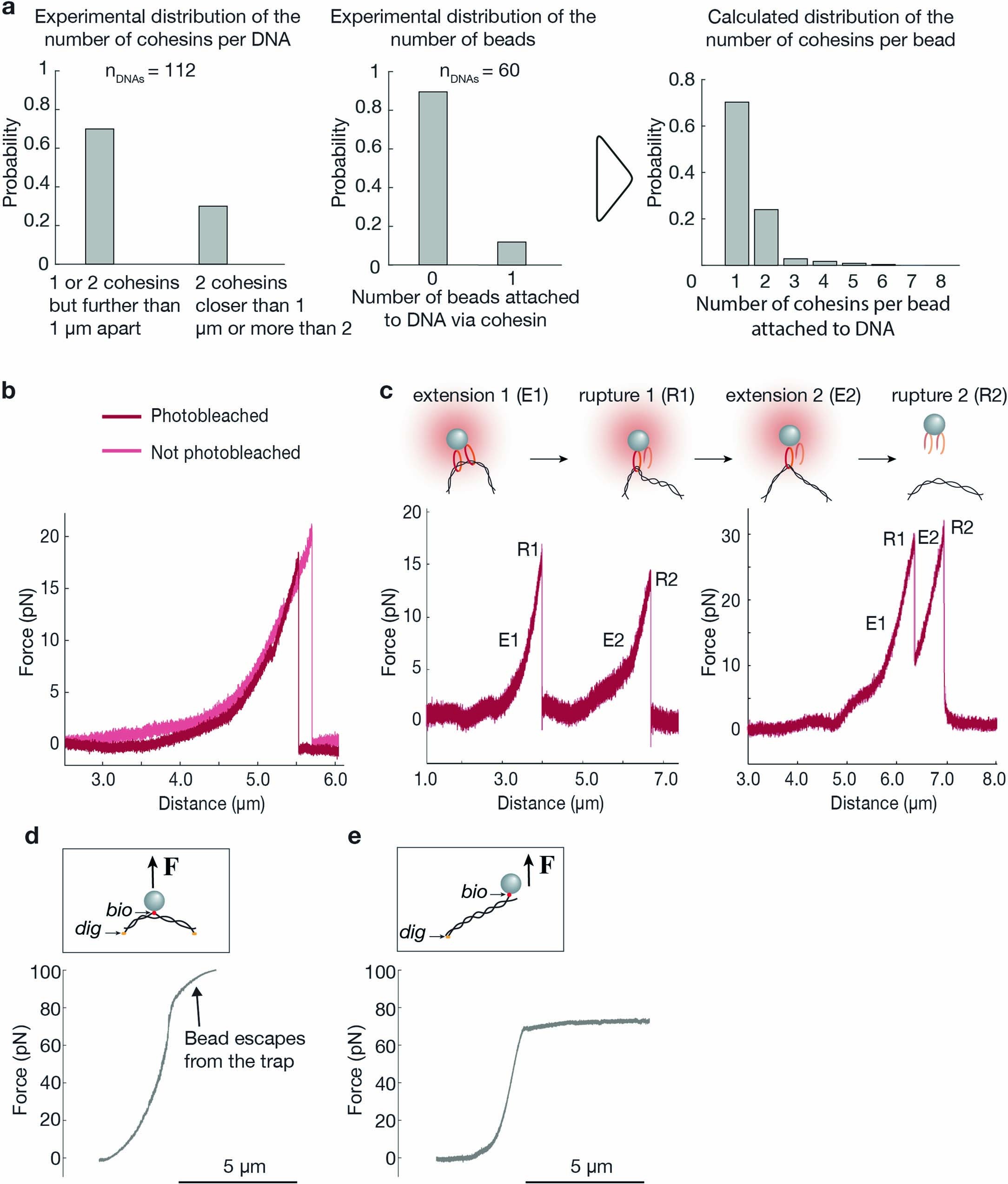 Extended Data Fig. 2