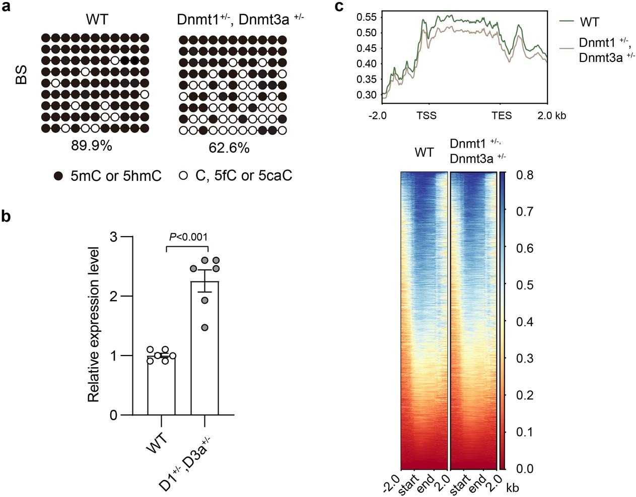 Extended Data Fig. 8: Modest upregulation of IAPs and reduction in H3K9me3 enrichment in D1+/−, D3a+/− GV oocytes.