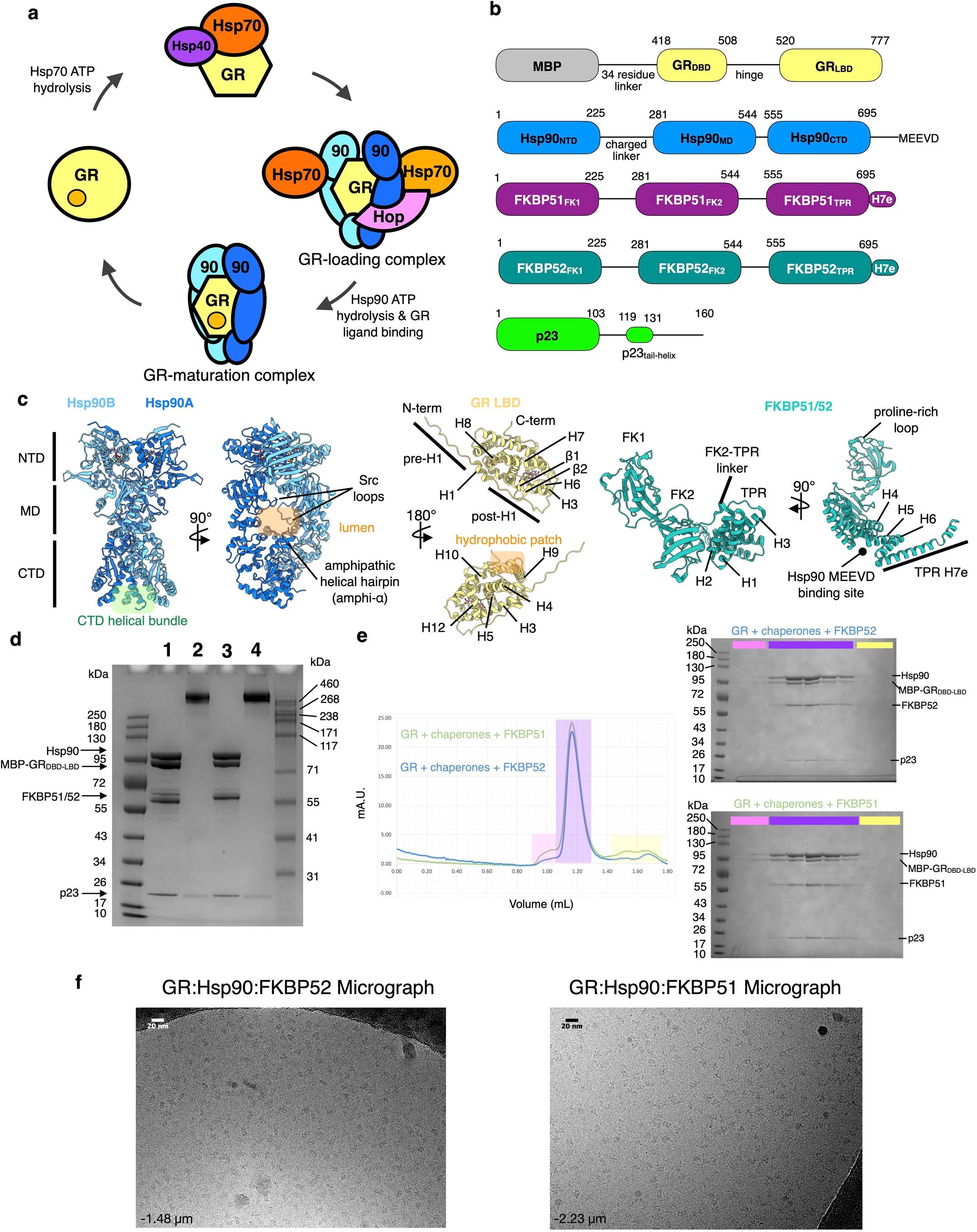 Extended Data Fig. 1