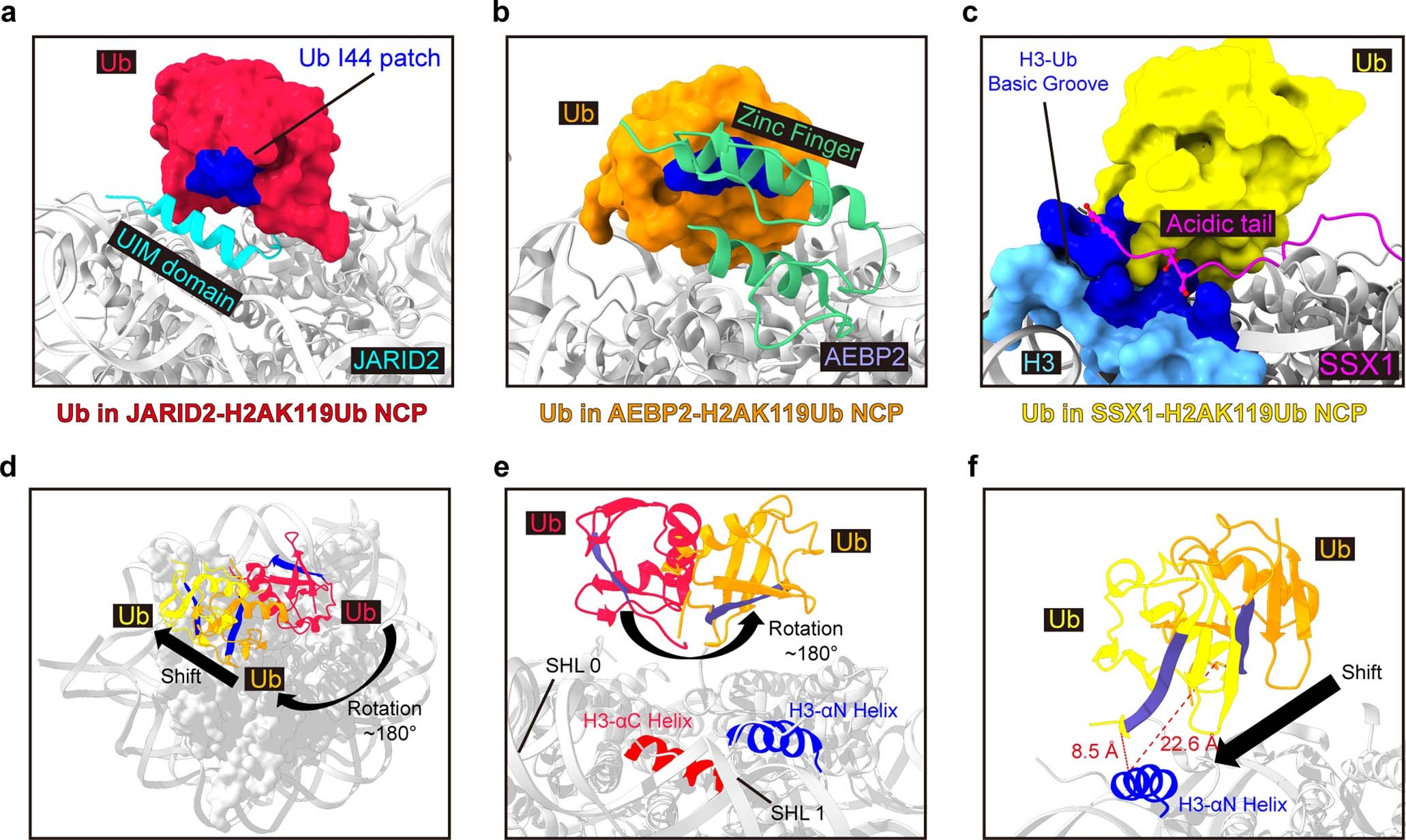 Extended Data Fig. 10