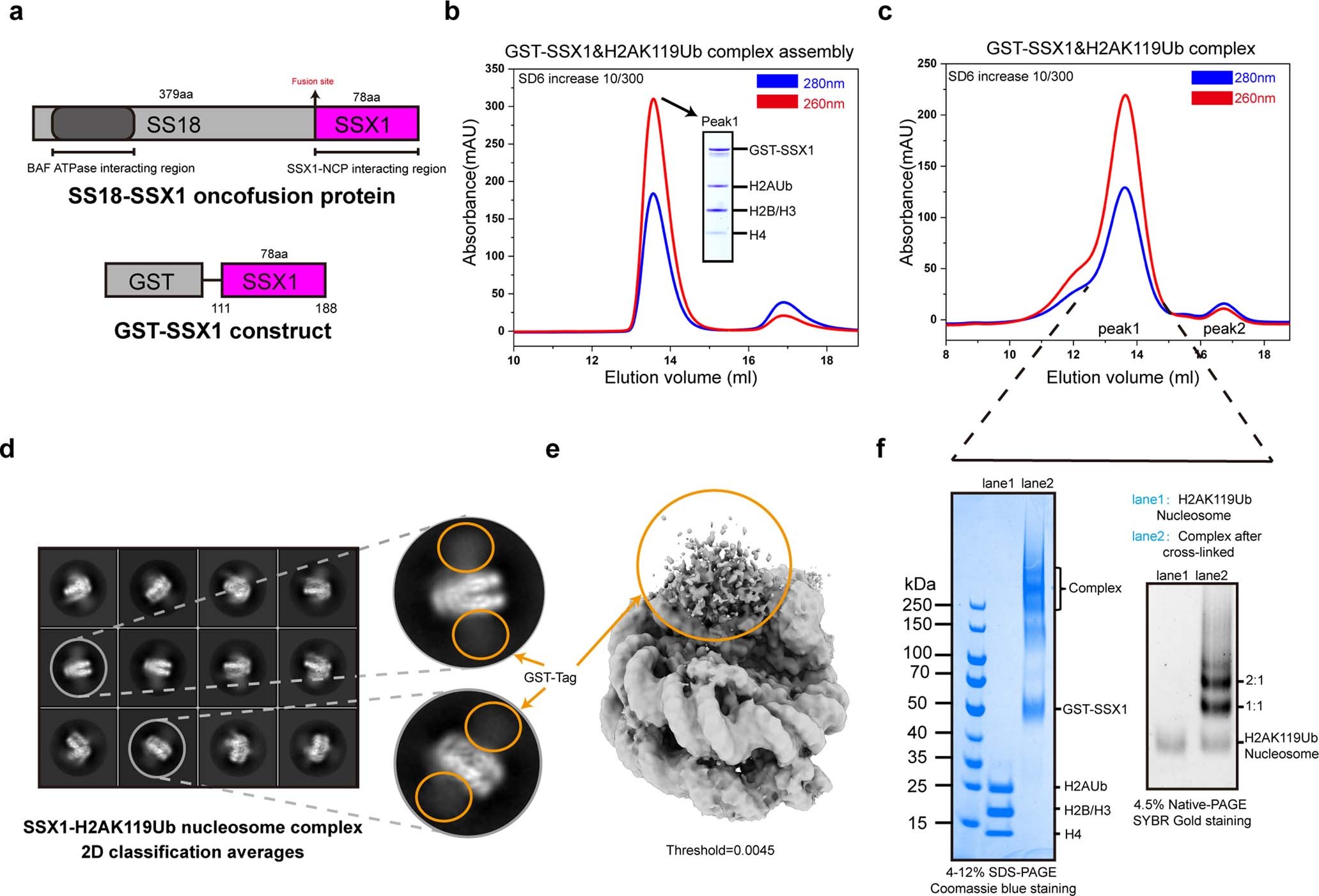 Extended Data Fig. 1