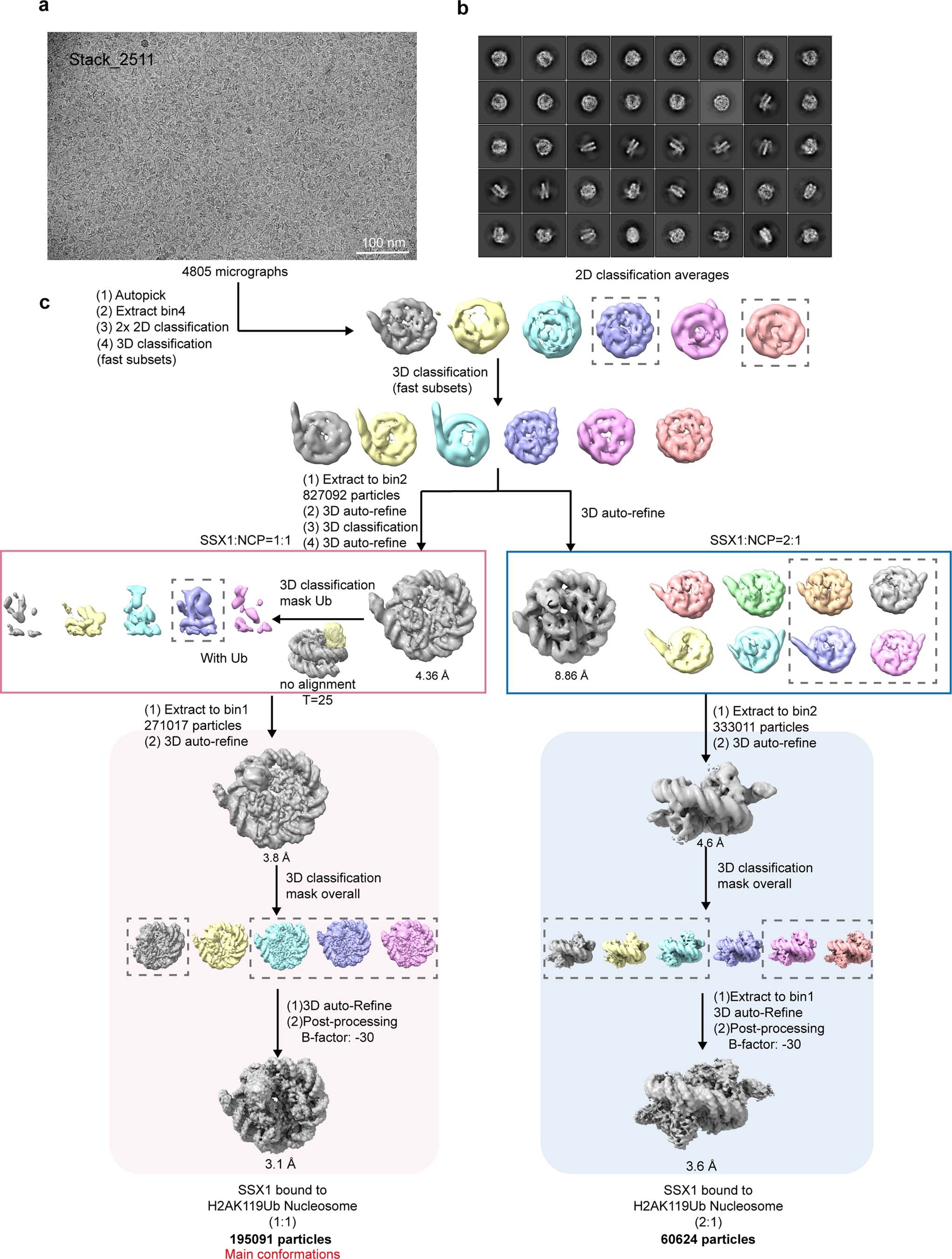 Extended Data Fig. 2