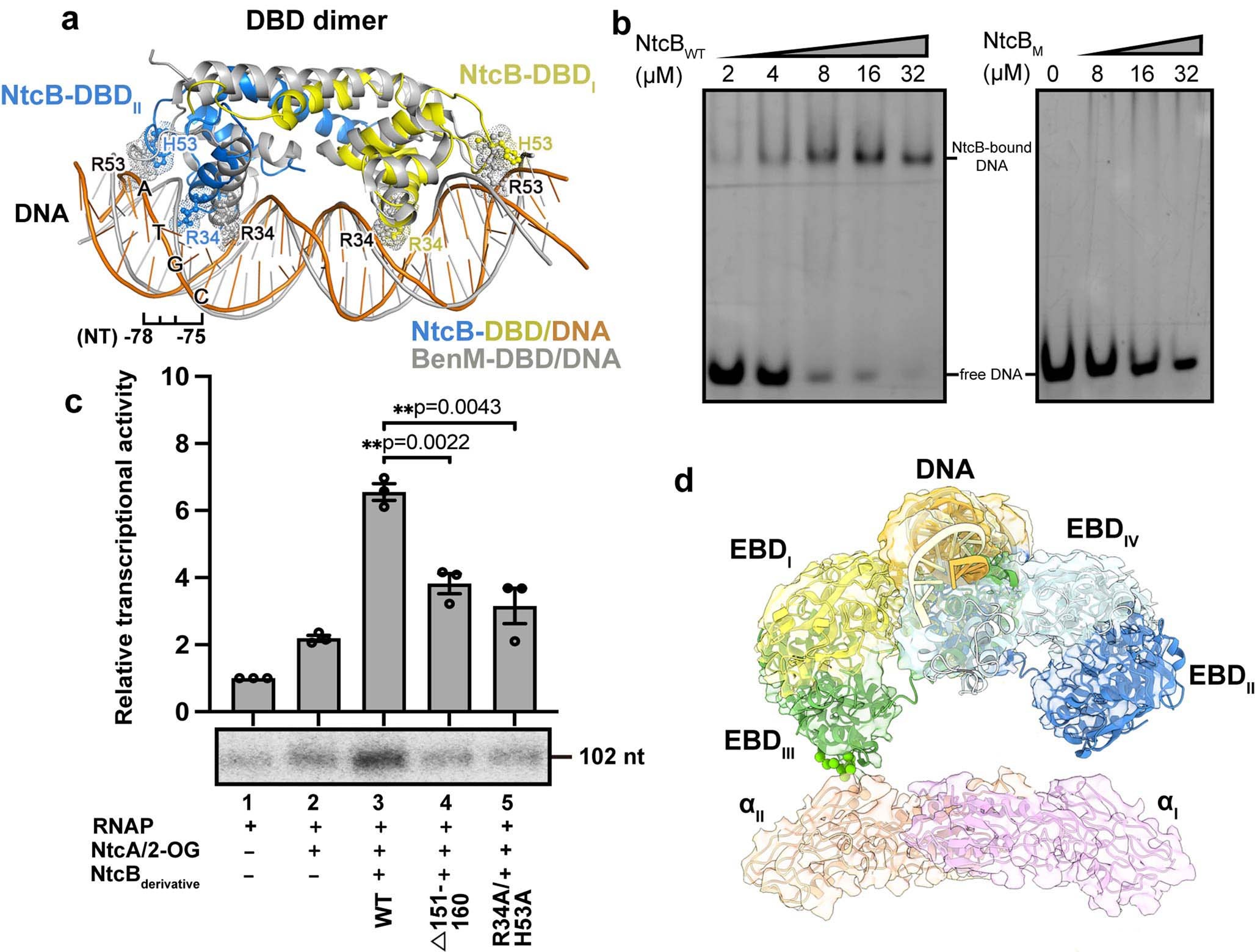 Extended Data Fig. 9