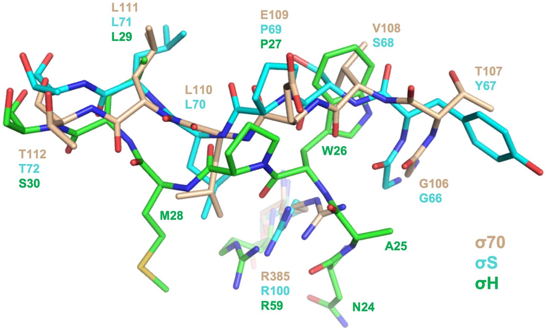 Extended Data Fig. 4