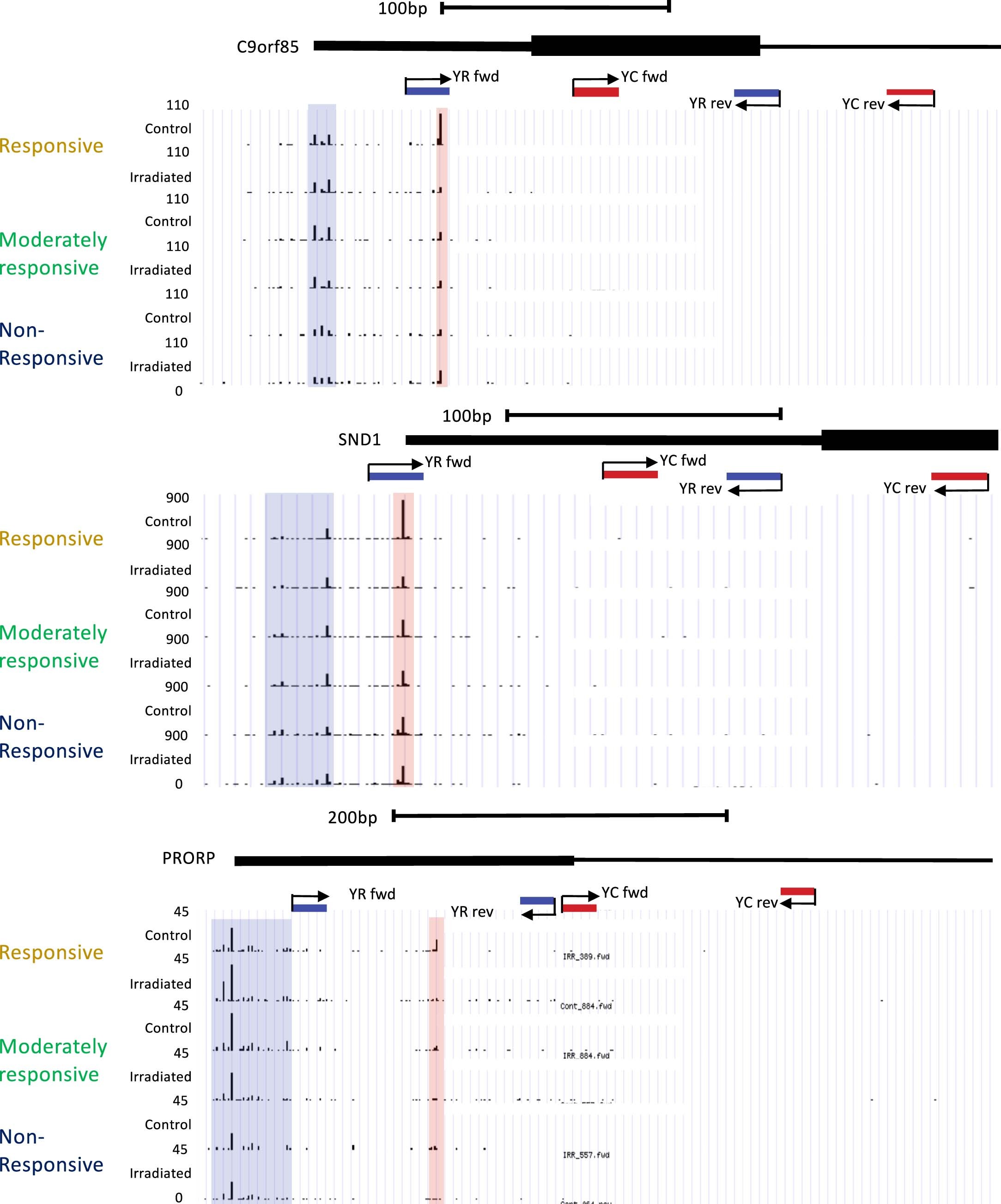 Extended Data Fig. 8
