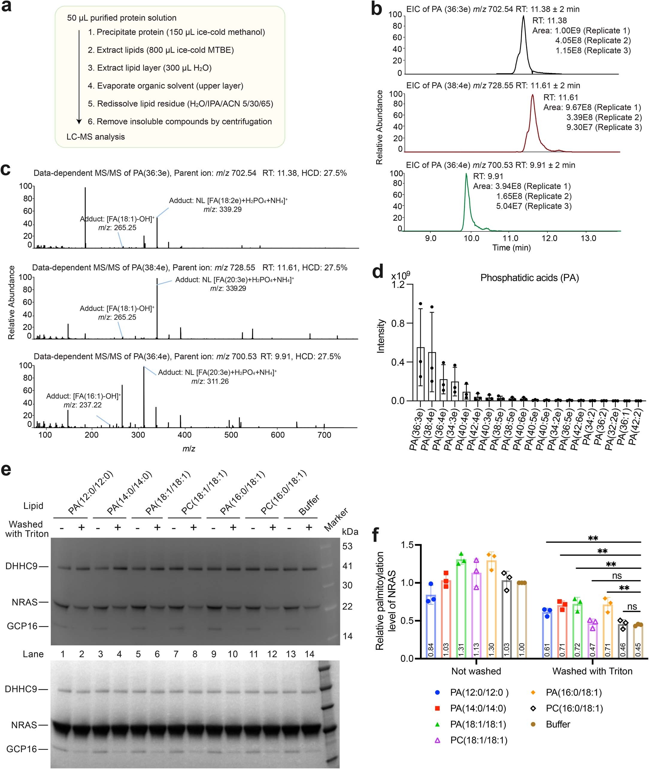 Extended Data Fig. 7: Characterization of the bound-lipid in the DHHC9-GCP16 complex.